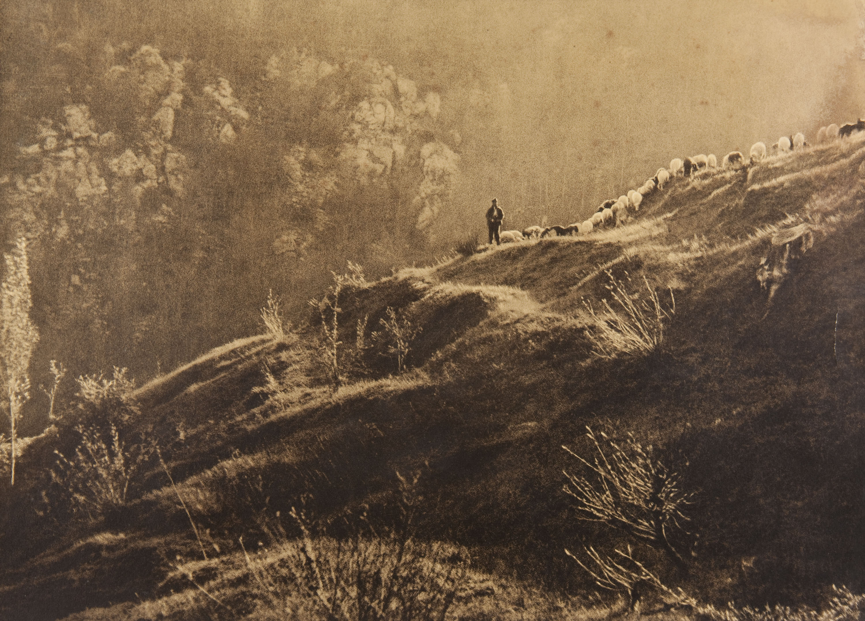 image for: Claudi Carbonell - Sense títol - No datat