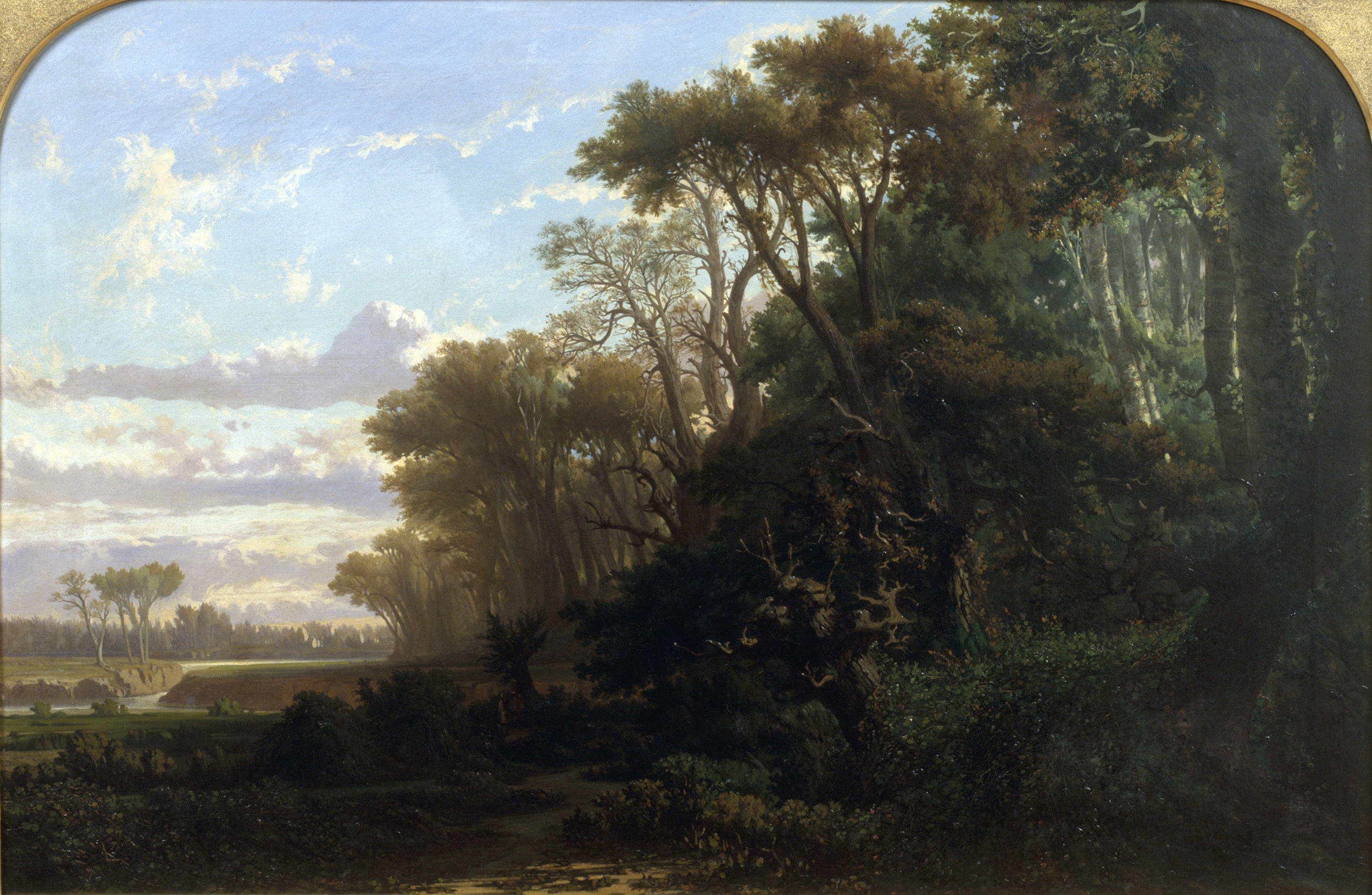 image for: Lluís Rigalt - Paisatge amb bosc - 1866