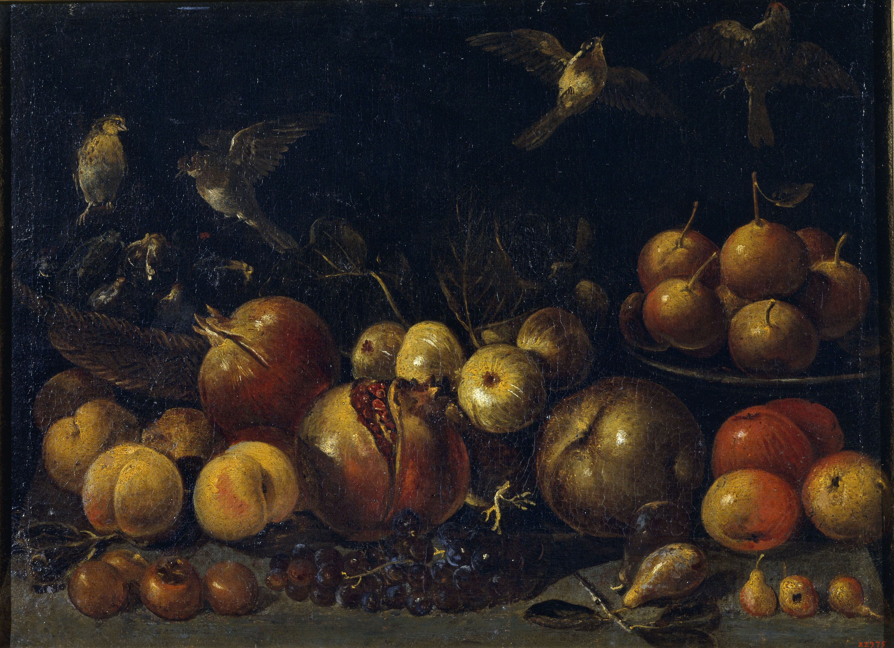 image for: Tommaso Realfonzo (Masillo) - Natura morta amb magranes, pomes, peres, raïm, figues i ocells - Primera meitat del segle XVII