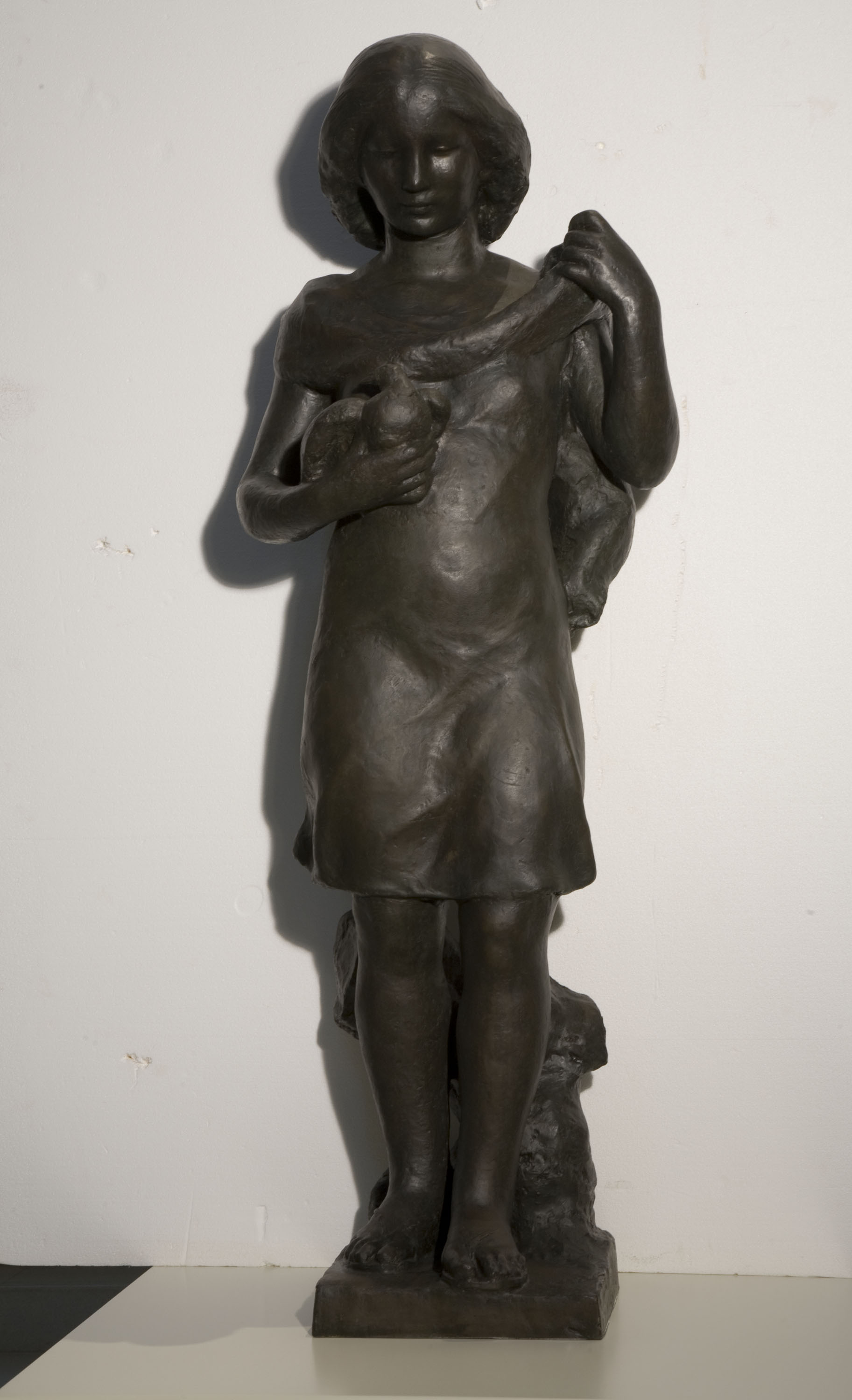 image for: Enric Casanovas - La noia del colom - Cap a 1929-1930