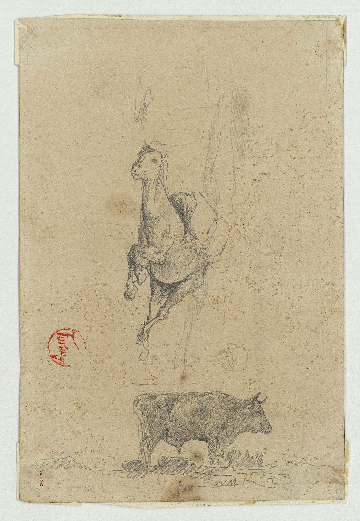 image for: Marià Fortuny - Cavall ajagut i toro (anvers) / Cap masculí (revers) - Cap a 1860-1862