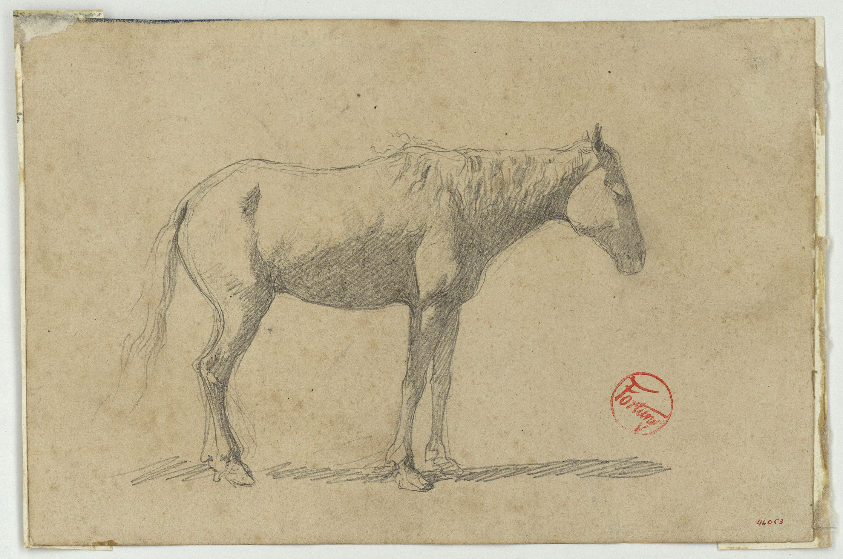 image for: Marià Fortuny - Cavall - Cap a 1860-1862