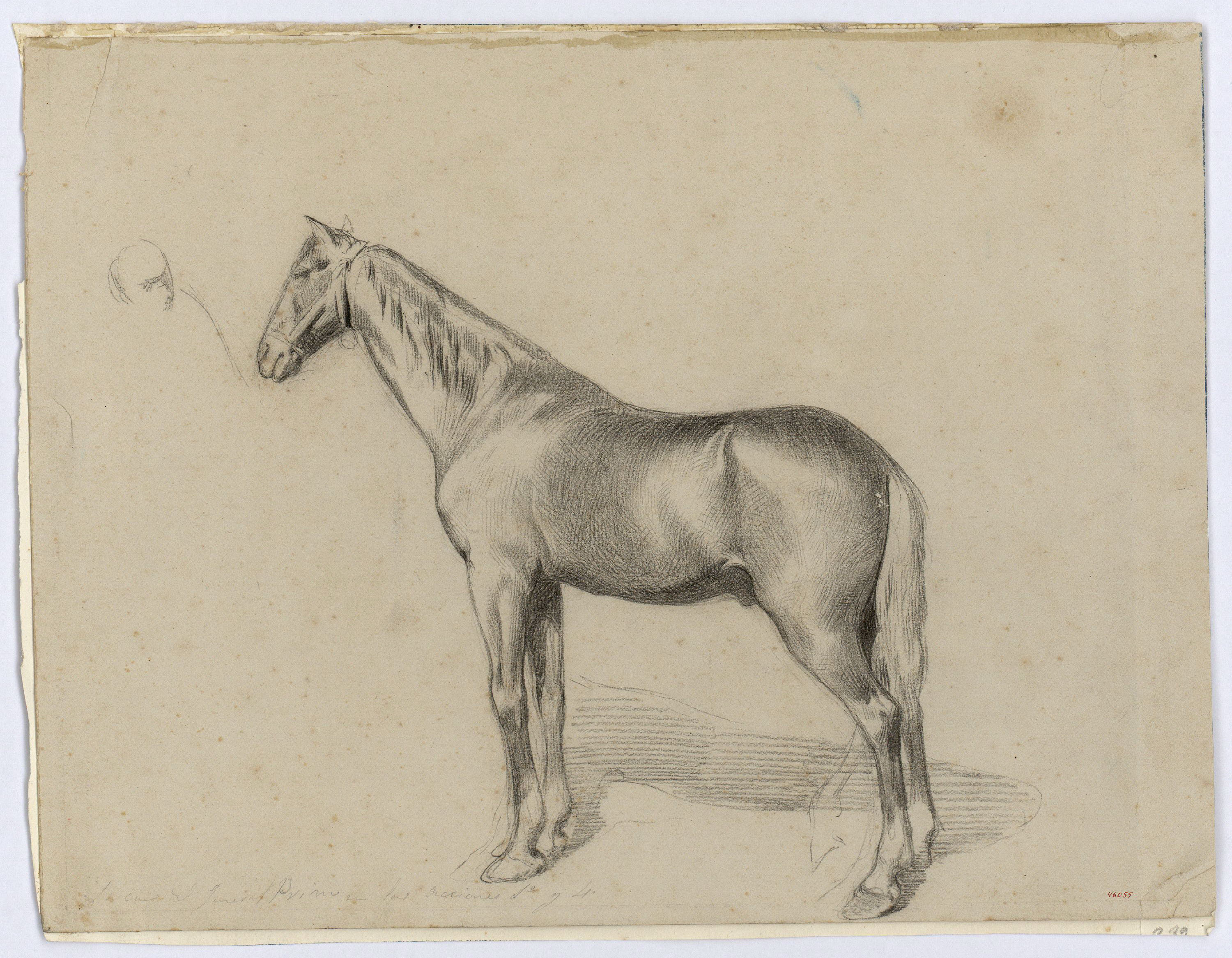 image for: Marià Fortuny - Euga del general Prim - Cap a 1860