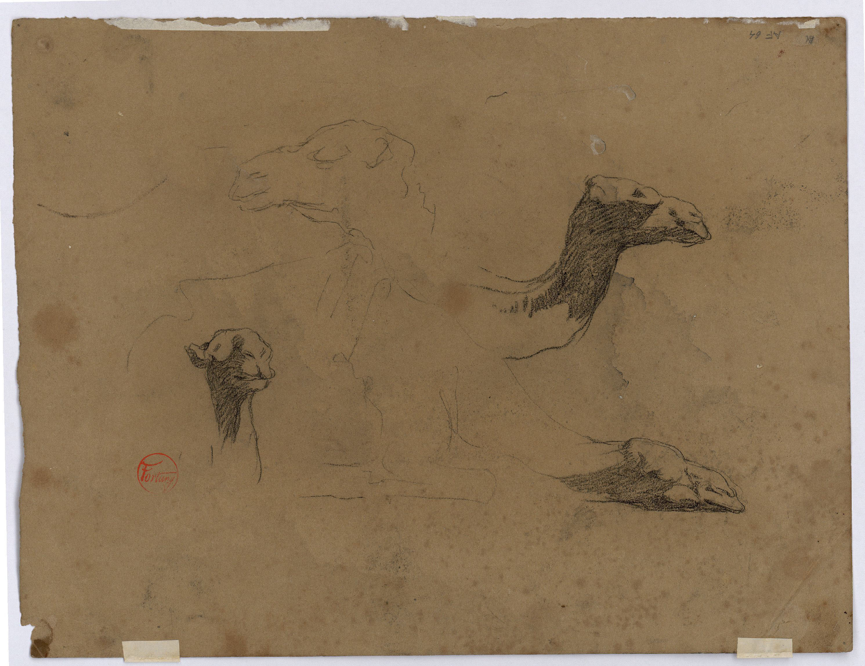 image for: Marià Fortuny - Estudi de camells (anvers) / Estudi de camells (revers) - Cap a 1862