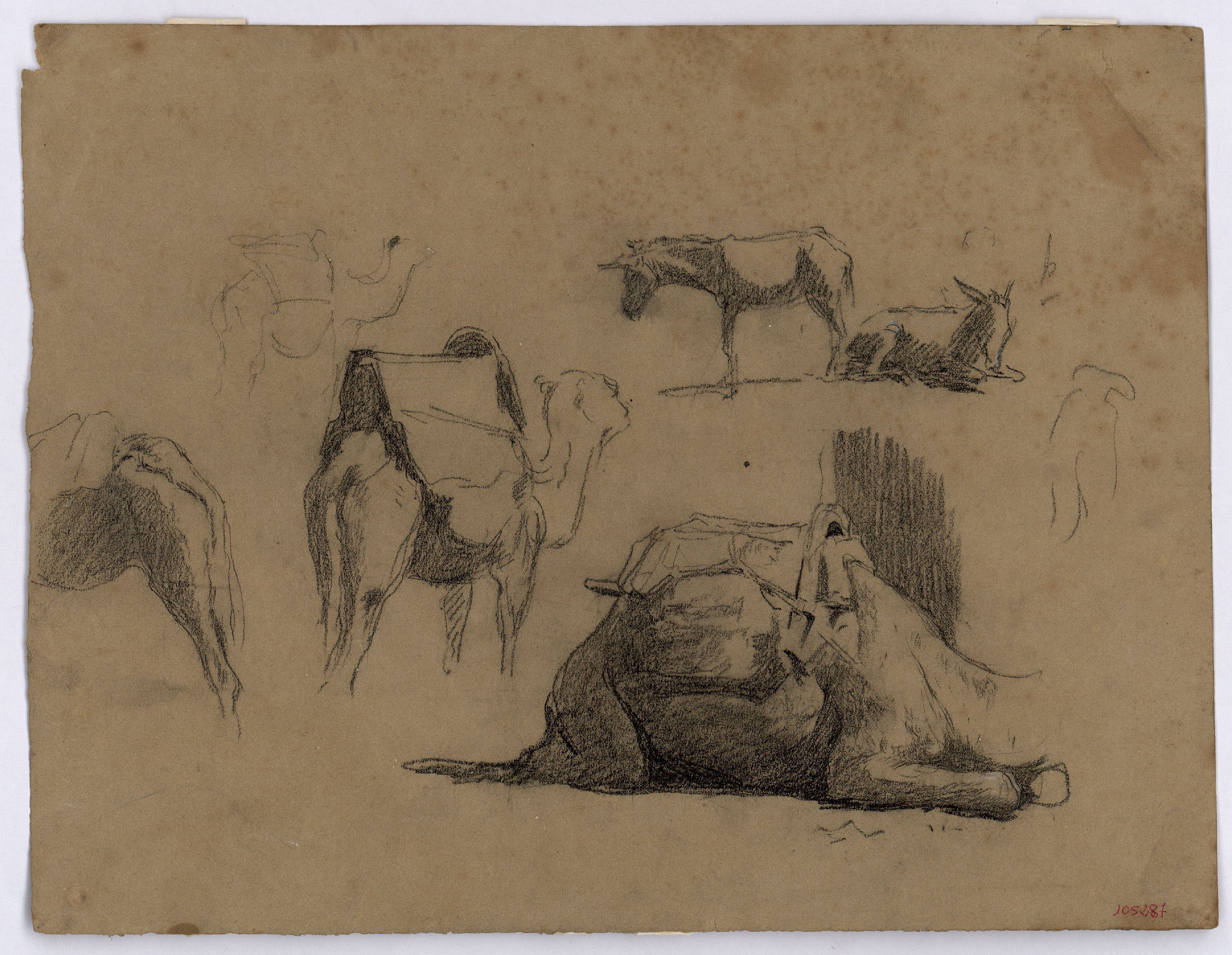 image for: Marià Fortuny - Estudi de camells (anvers) / Estudi de camells (revers) - Cap a 1862 [1]