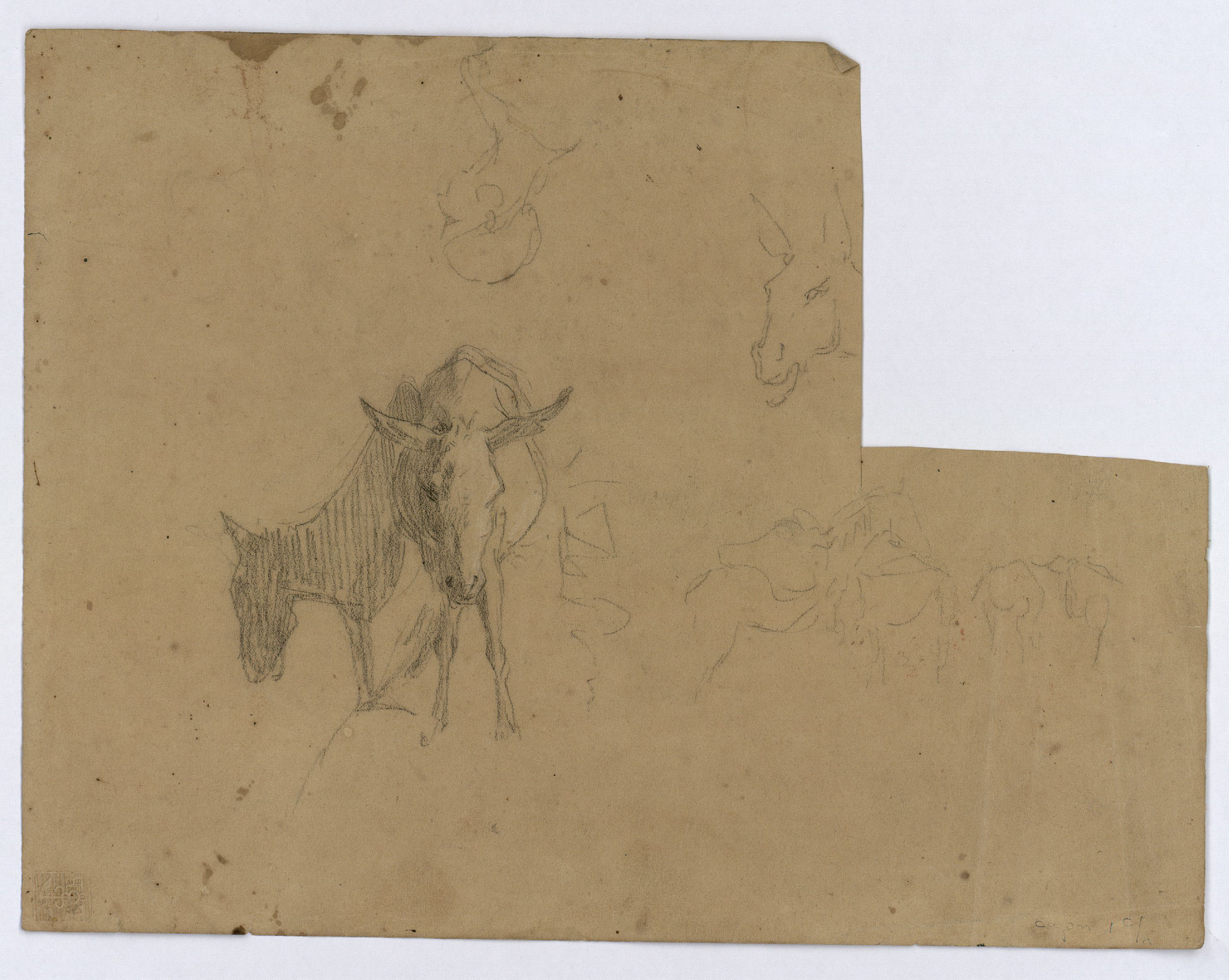 image for: Marià Fortuny - Marroquins (anvers) / Rucs (revers) - Cap a 1860-1862 [1]