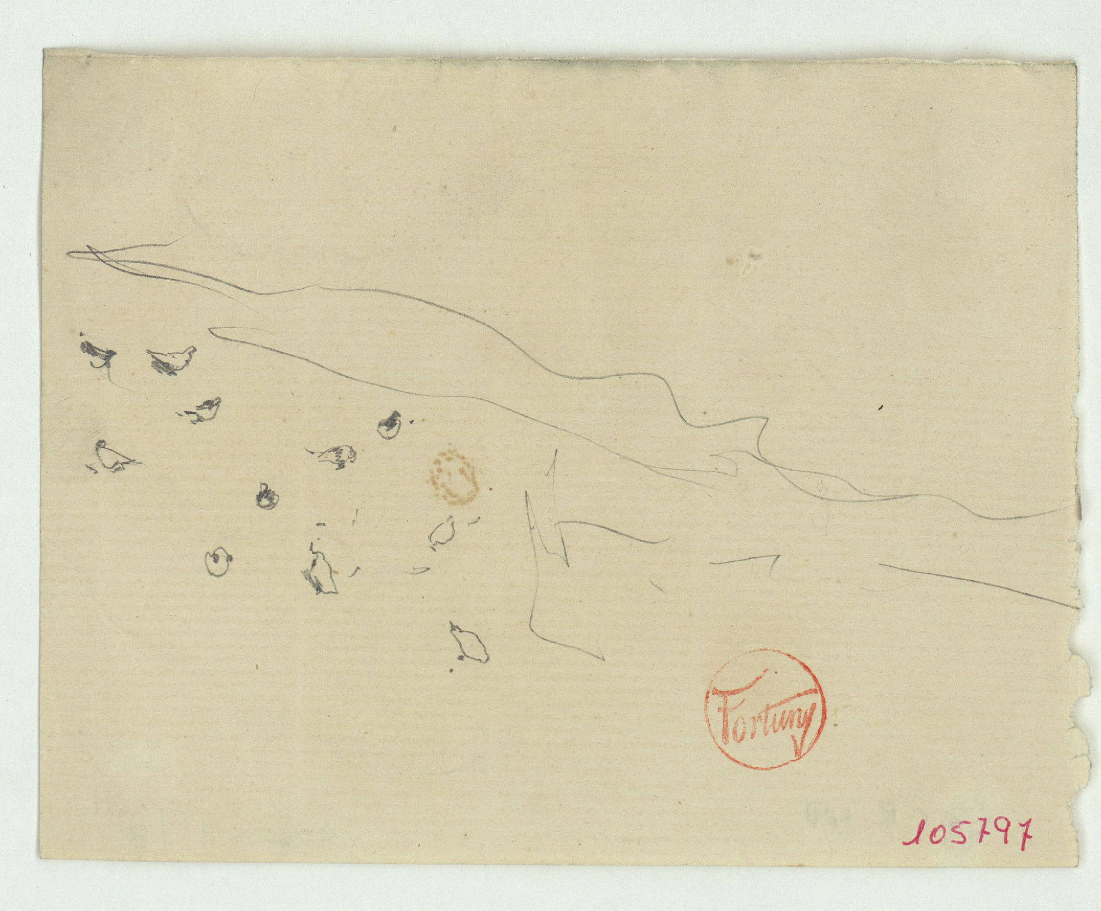 image for: Marià Fortuny - Croquis de coloms - Cap a 1867-1872