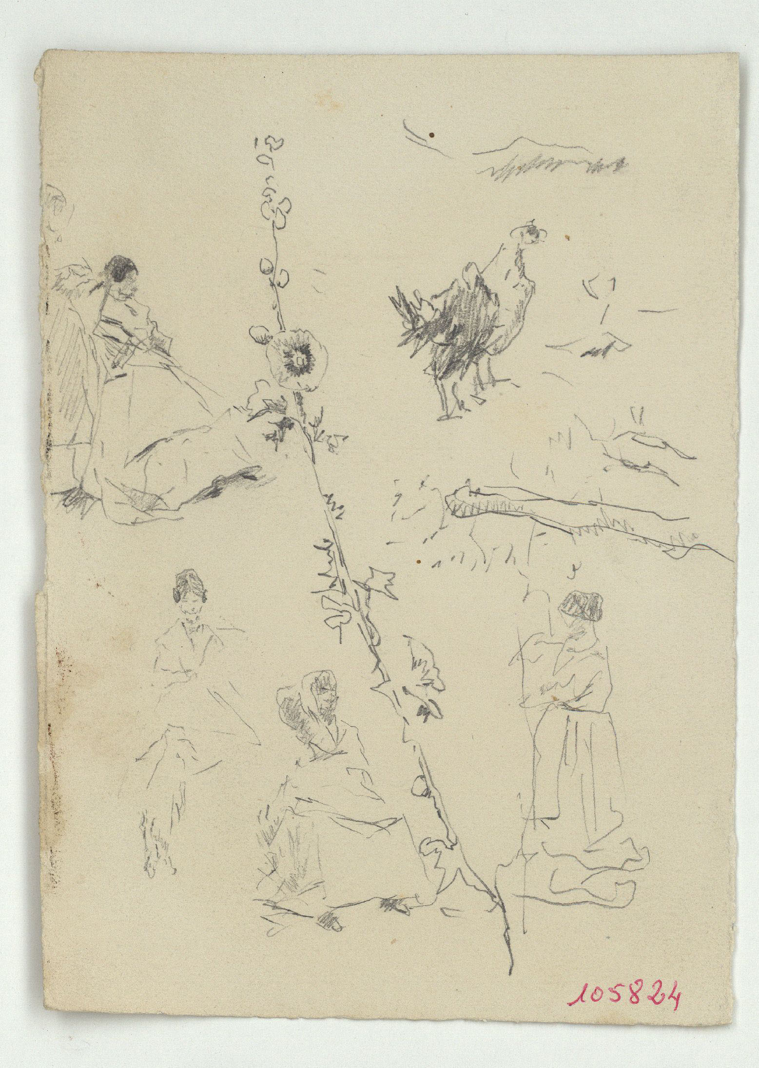 image for: Marià Fortuny - Figures femenines, flors i animals - Cap a 1874