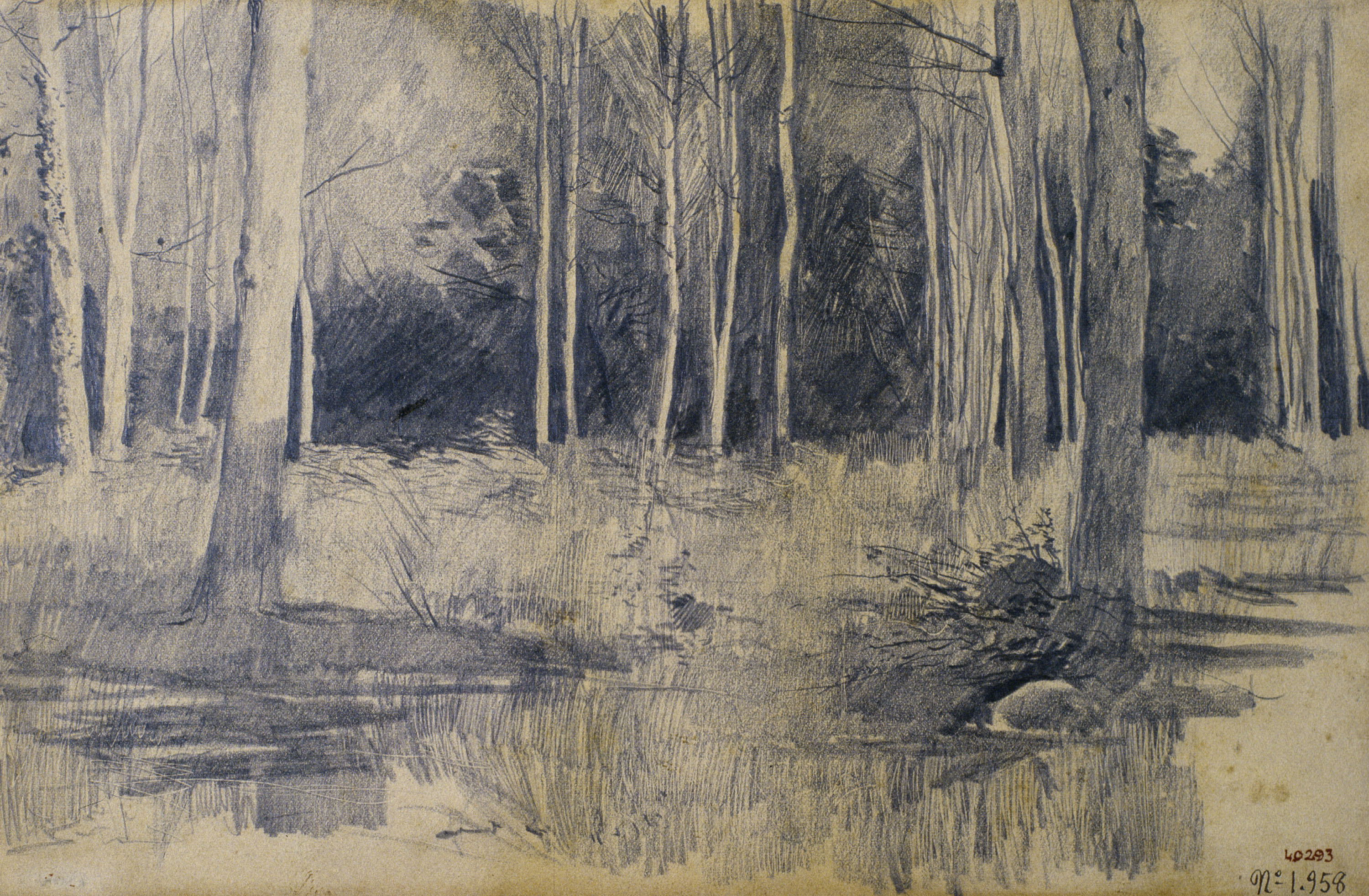 image for: Santiago Rusiñol - Arbreda - Cap a 1880-1885