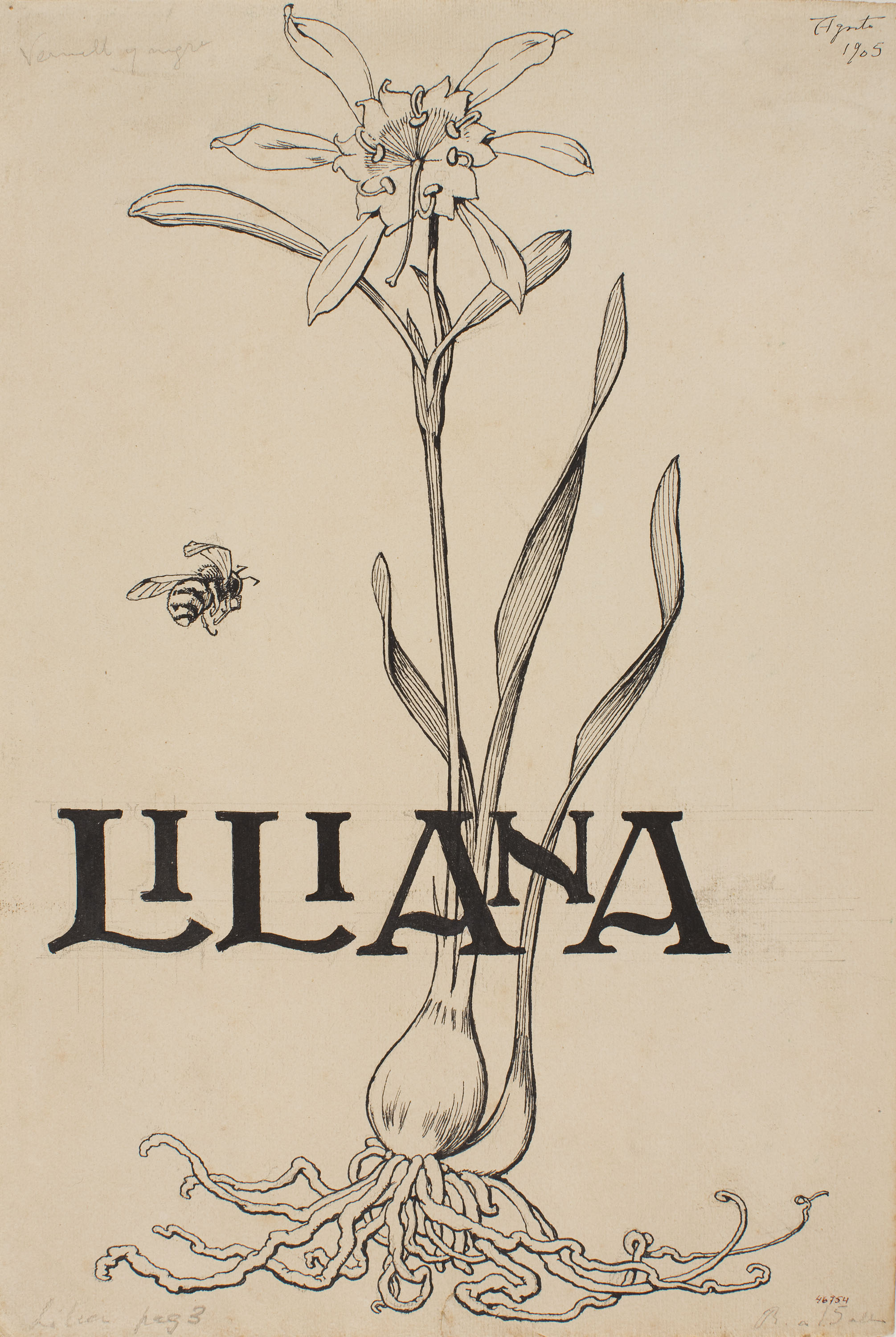 image for: Apel·les Mestres - Lliri de mar i abella. Il·lustració de la portada per al poema «Liliana» d&#039;Apel·les Mestres - 1905