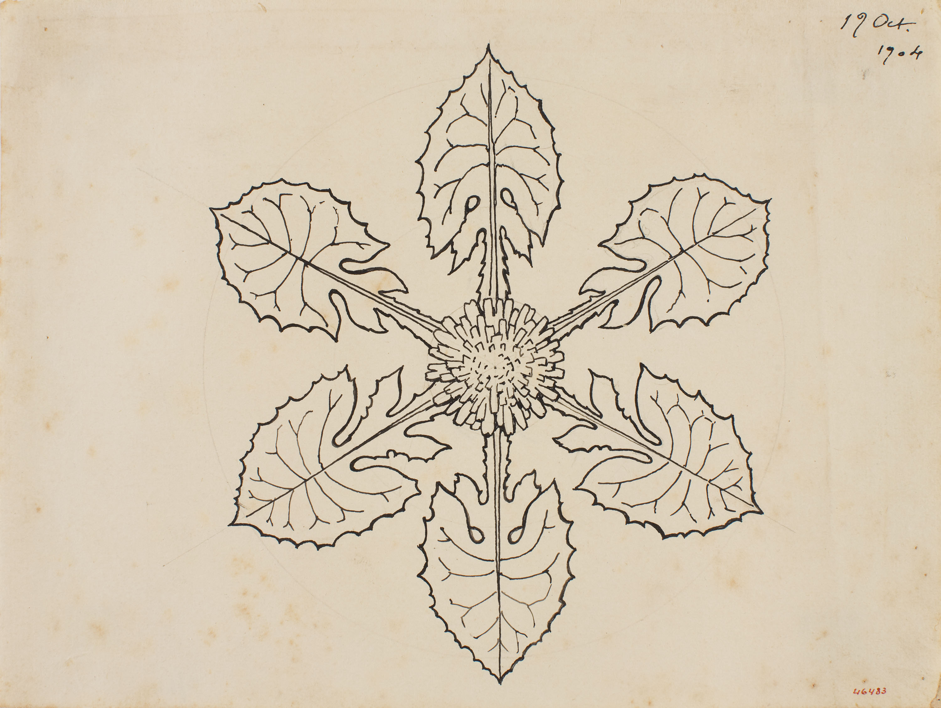 image for: Apel·les Mestres - Composició radial d&#039;una flor. Culdellàntia per al poema «Liliana» d&#039;Apel·les Mestres - 1904