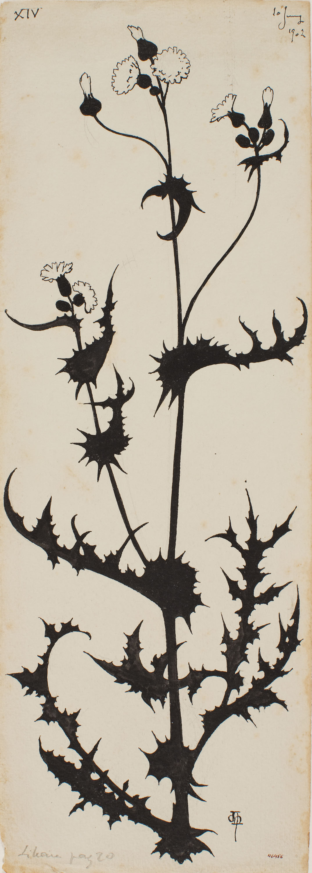 image for: Apel·les Mestres - Branca florida de lletsó. Il·lustració per al poema «Liliana» d&#039;Apel·les Mestres - 1902