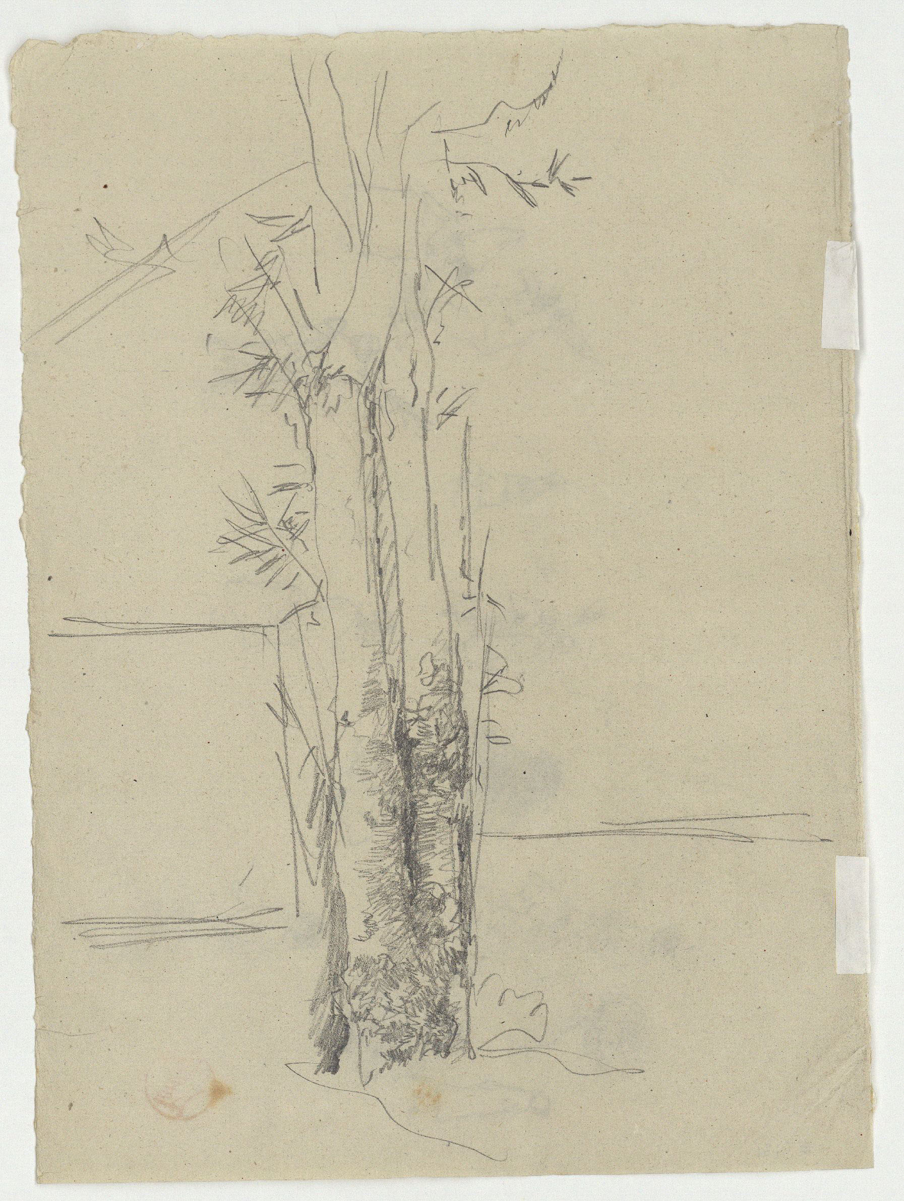 image for: Marià Fortuny - Estudi per al quadre «Carnaval al Corso romà» (anvers) / Arbres (revers) - Cap a 1874 [1]