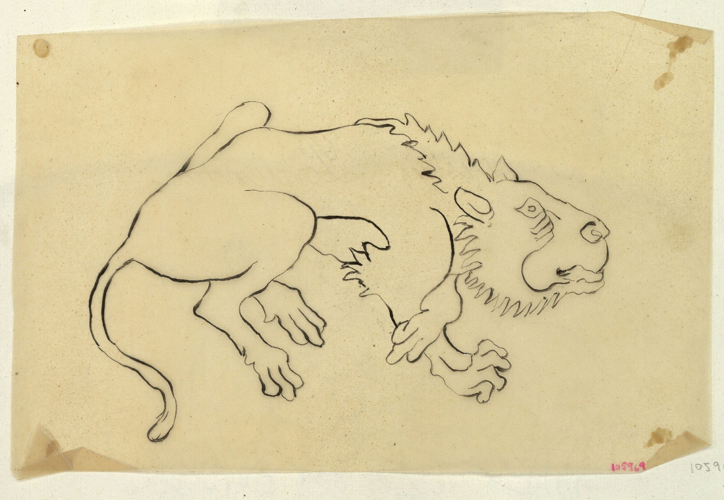 image for: Marià Fortuny - Calc d&#039;un lleó - Cap a 1867-1872