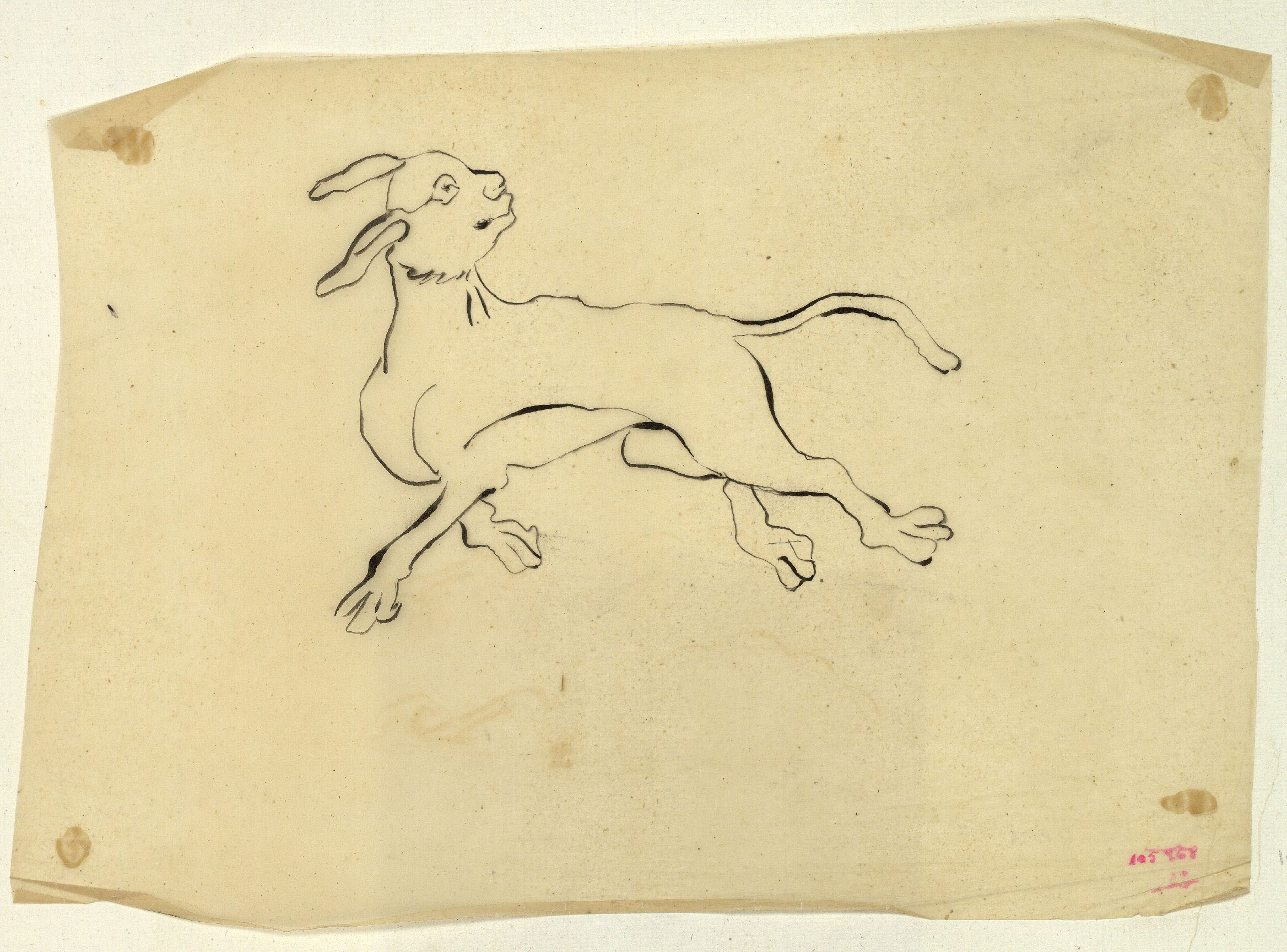 image for: Marià Fortuny - Calc d&#039;un llebrer - Cap a 1867-1872