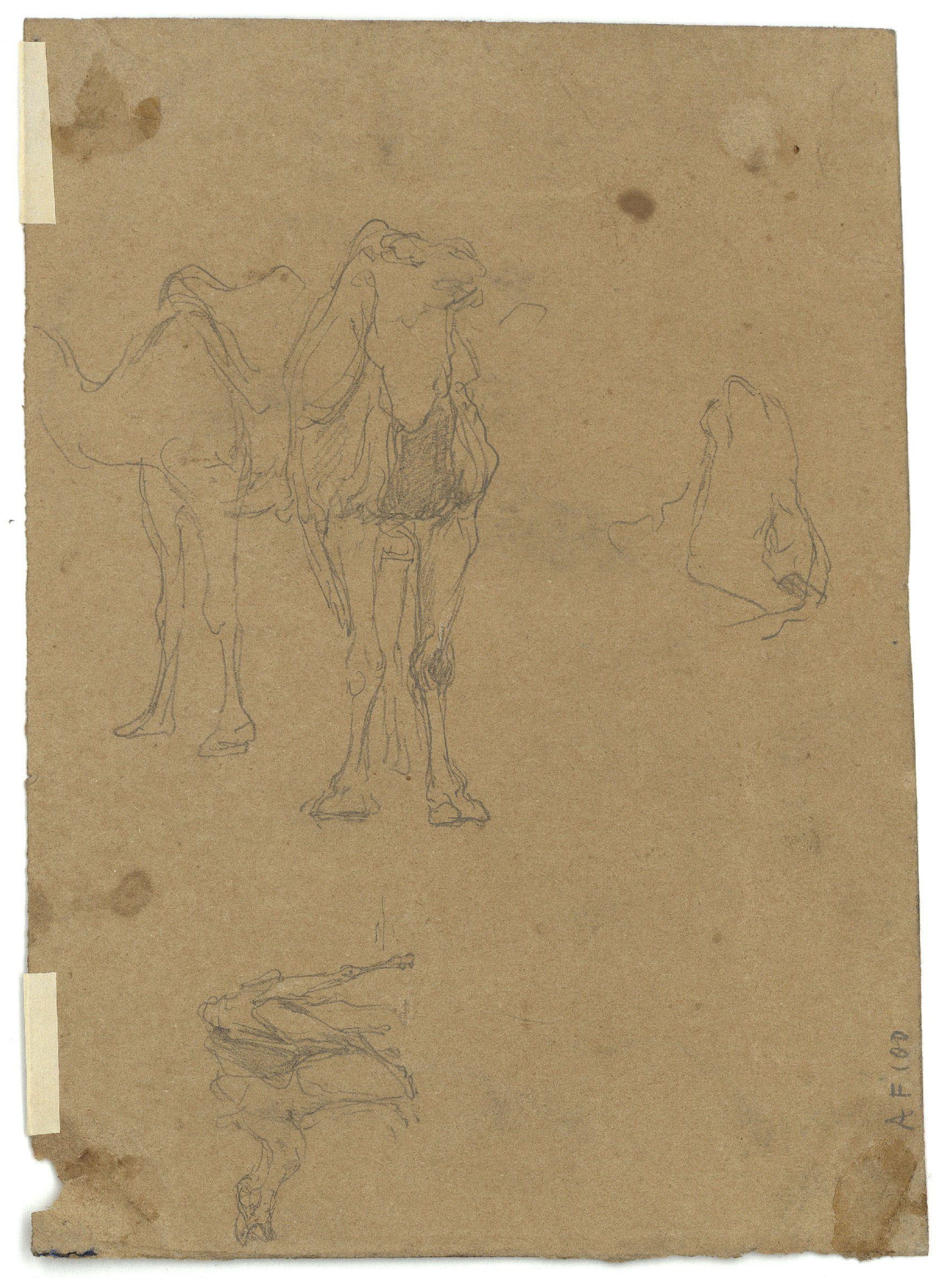 image for: Marià Fortuny - Paisatge marroquí (anvers) / Esbós de camells (revers) - Cap a 1860-1862 [1]