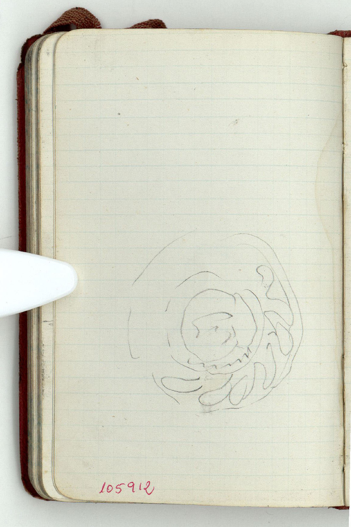 image for: Marià Fortuny - Motiu ornamental - Cap a 1868-1872