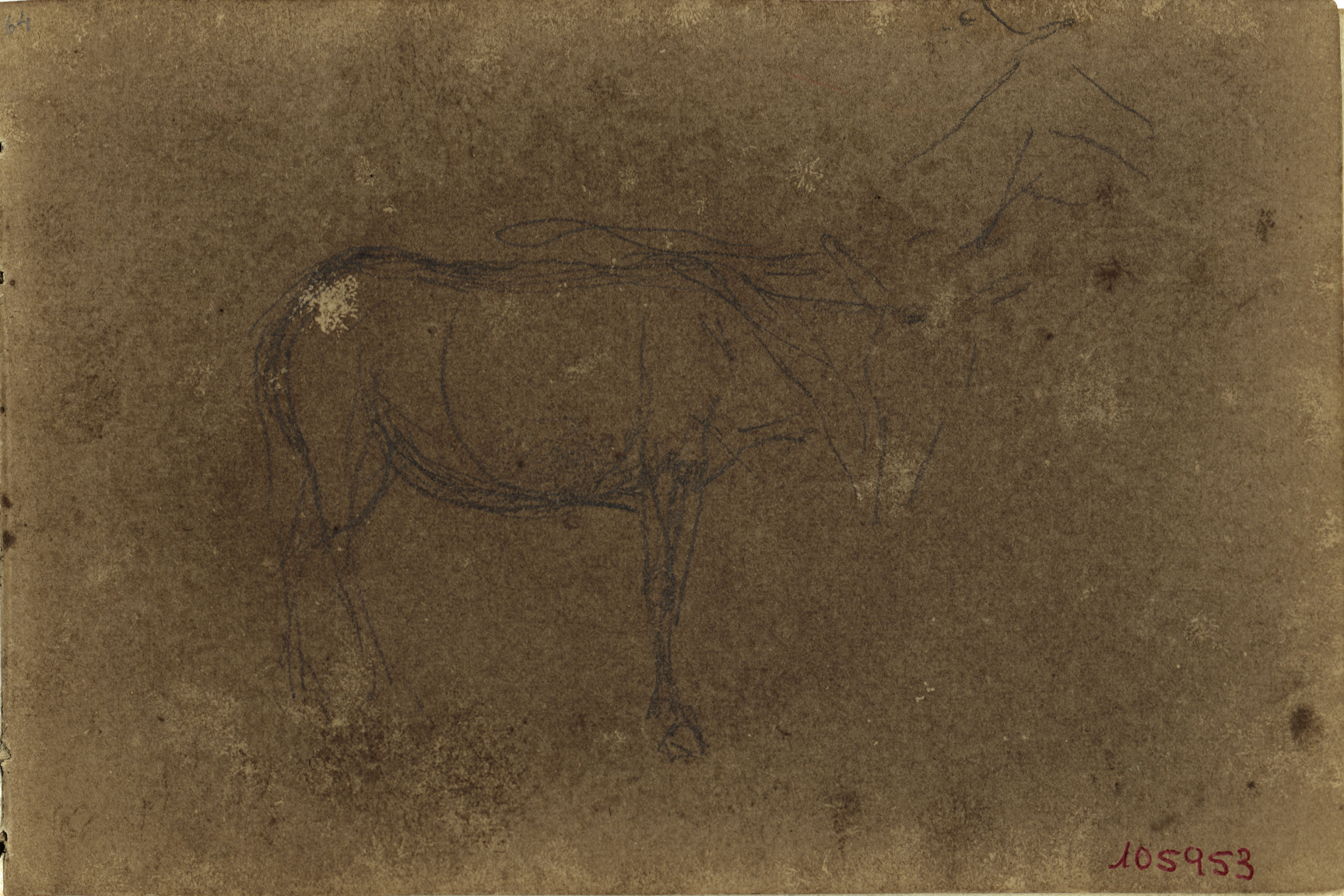 image for: Marià Fortuny - Mula (anvers) / Pota de mula (revers) - Cap a 1866-1872