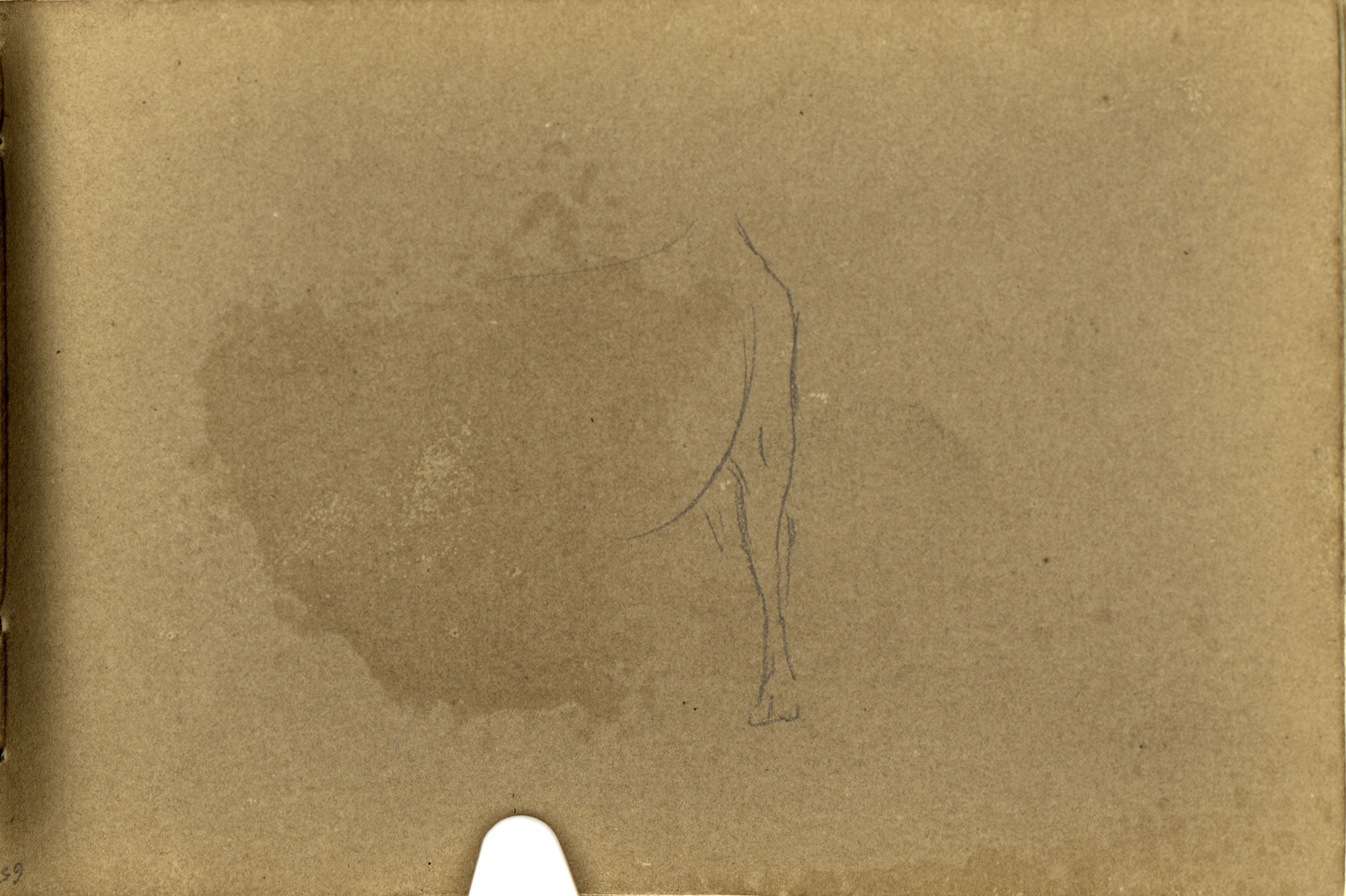 image for: Marià Fortuny - Mula (anvers) / Pota de mula (revers) - Cap a 1866-1872 [1]