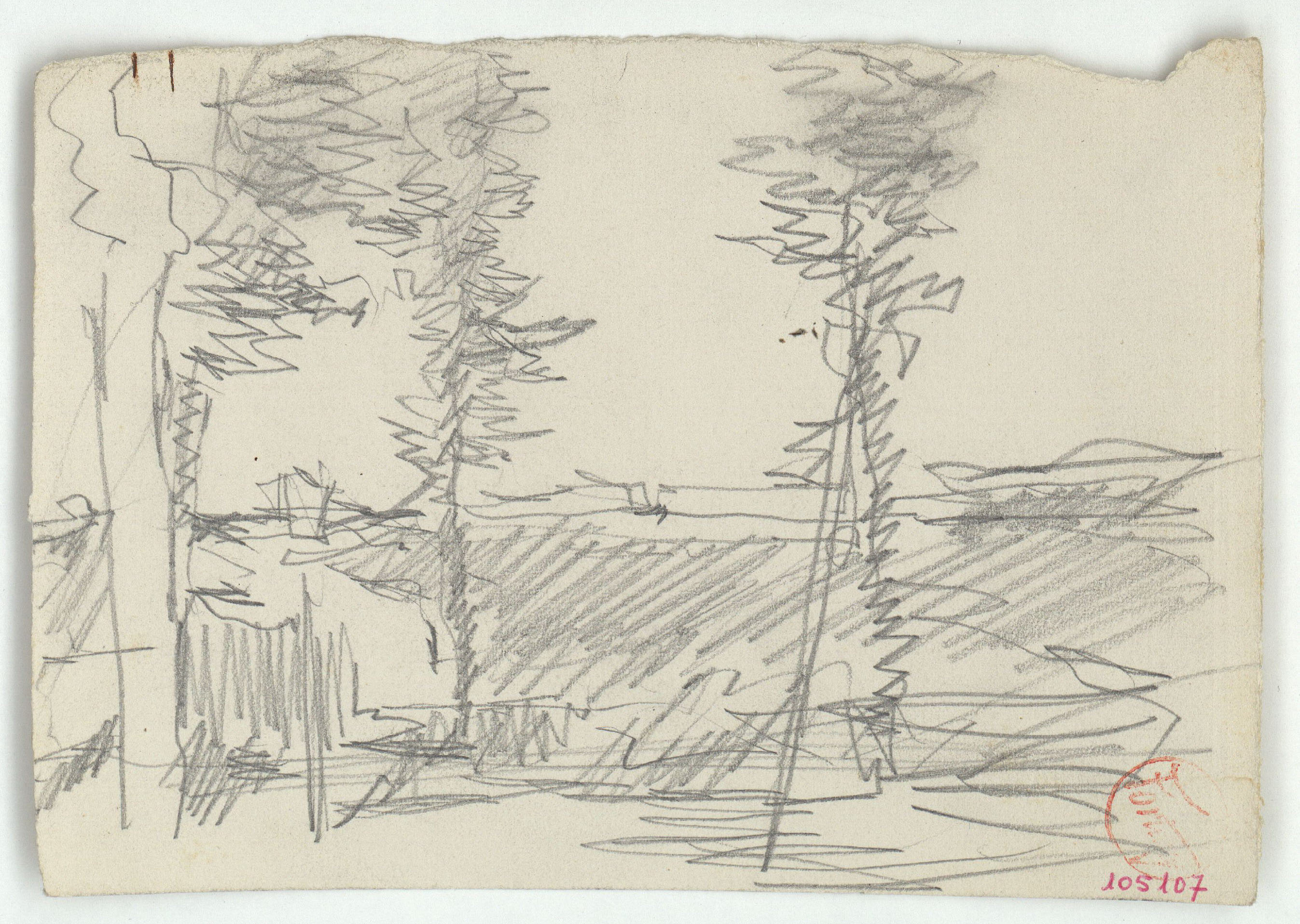 image for: Marià Fortuny - Arbres i mur - Cap a 1870-1874