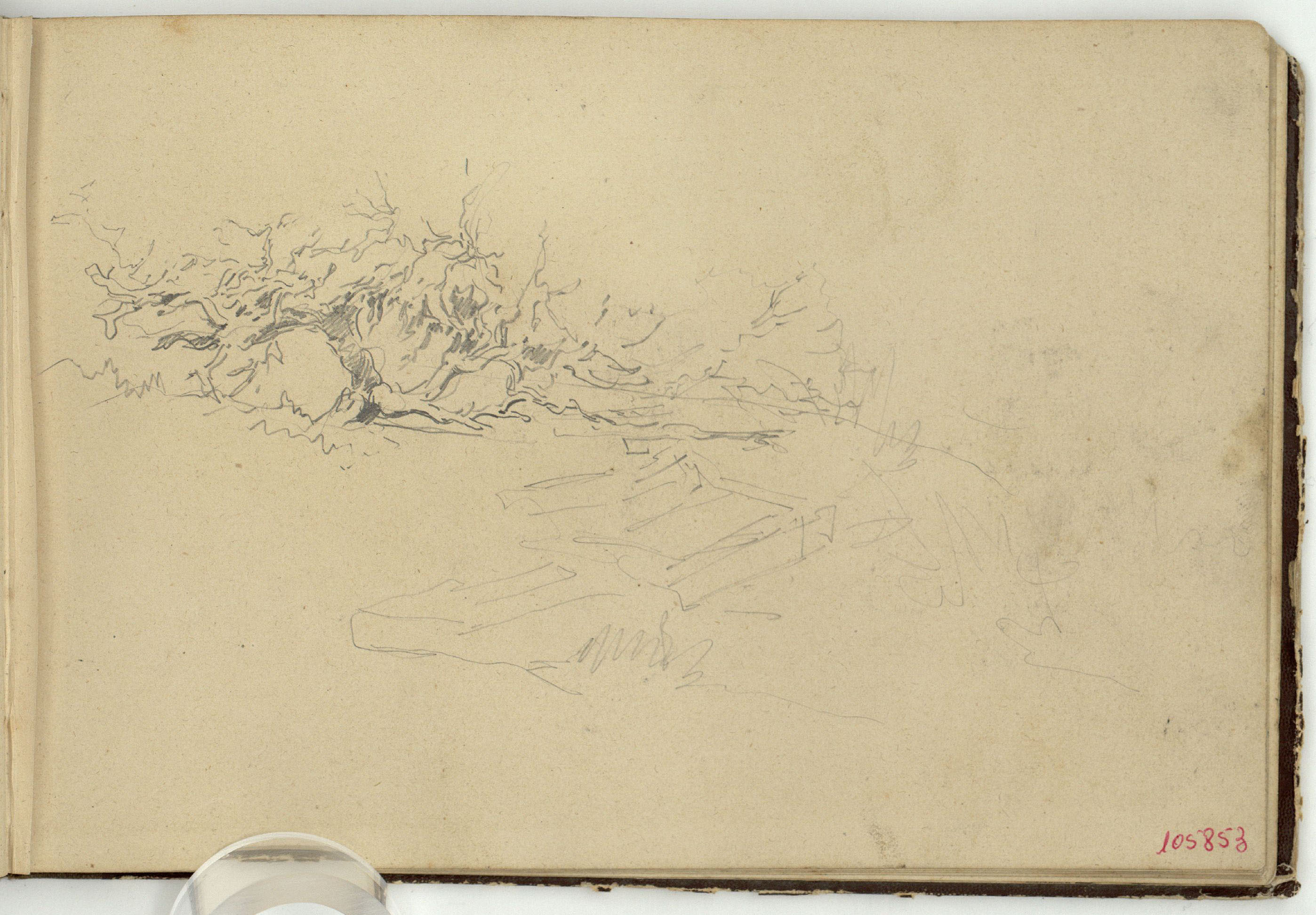 image for: Marià Fortuny - Matolls - Cap a 1862