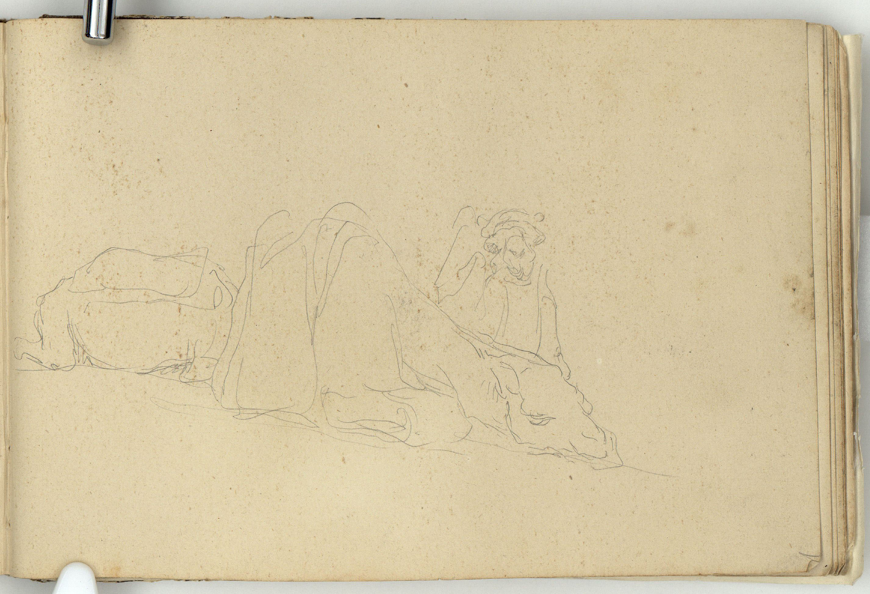image for: Marià Fortuny - Estudi per a l&#039;aquarel·la «El cameller» - Cap a 1862-1865