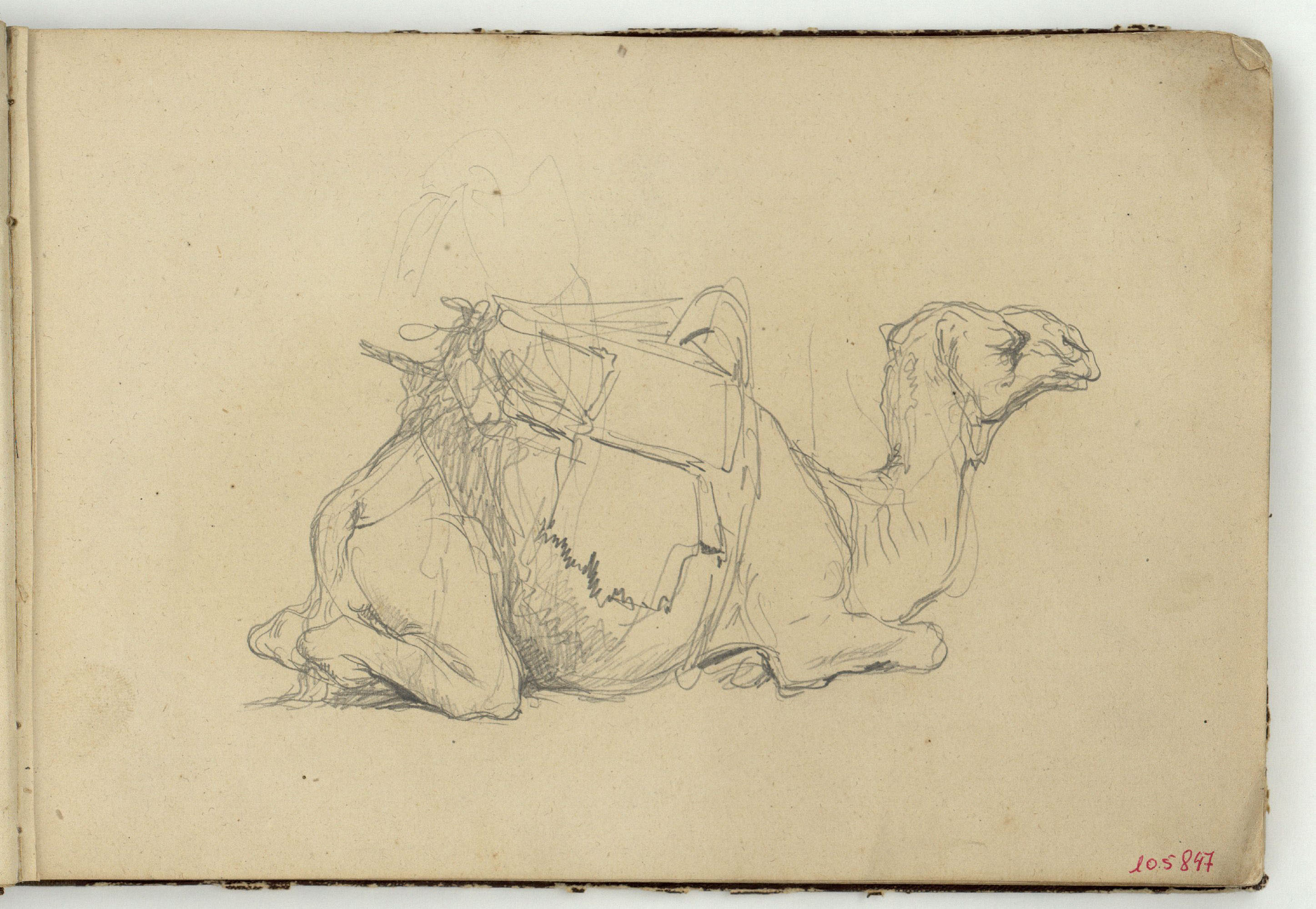 image for: Marià Fortuny - Estudi de camell - Cap a 1860-1862
