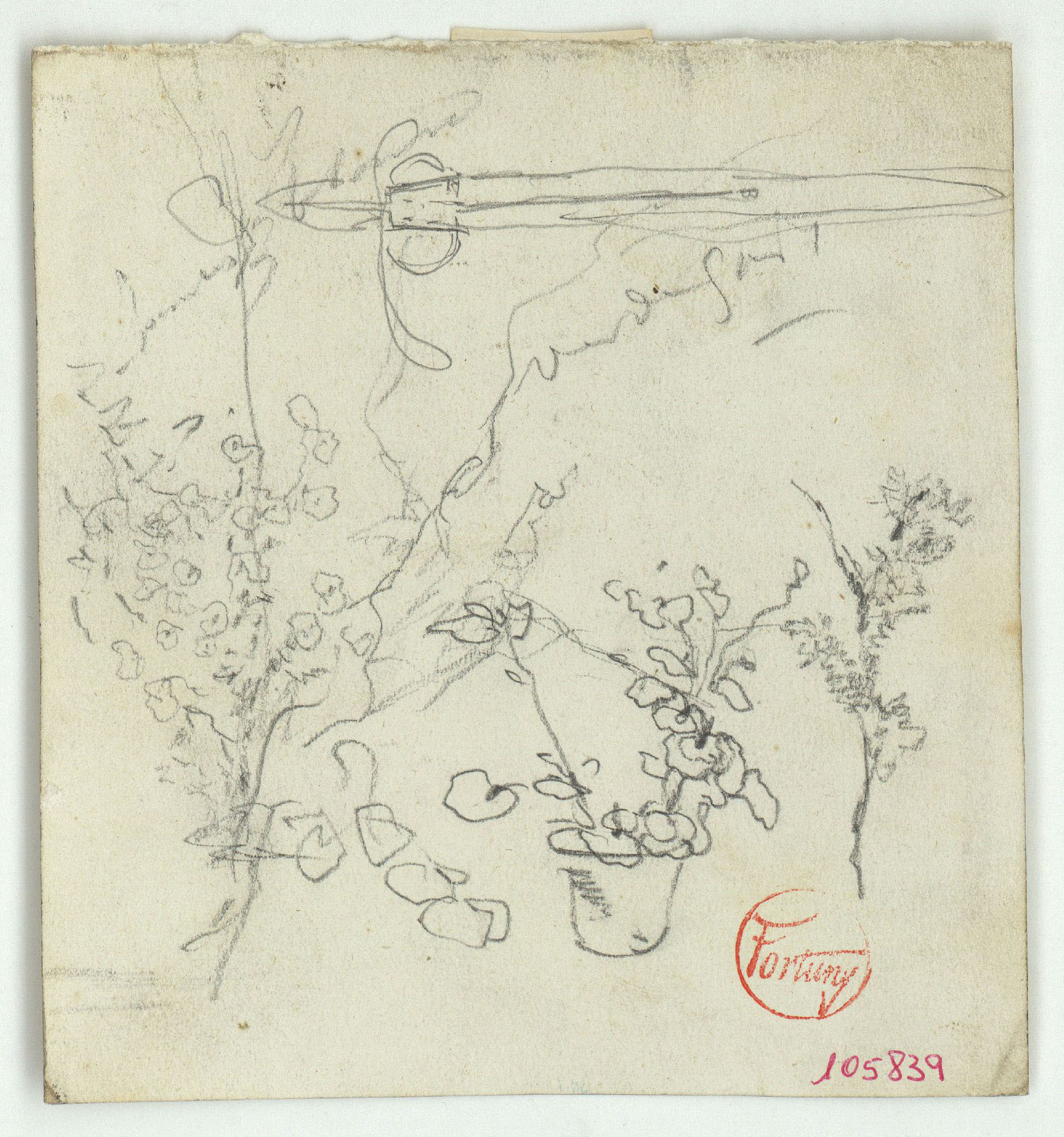 image for: Marià Fortuny - Plantes - Cap a 1870-1872