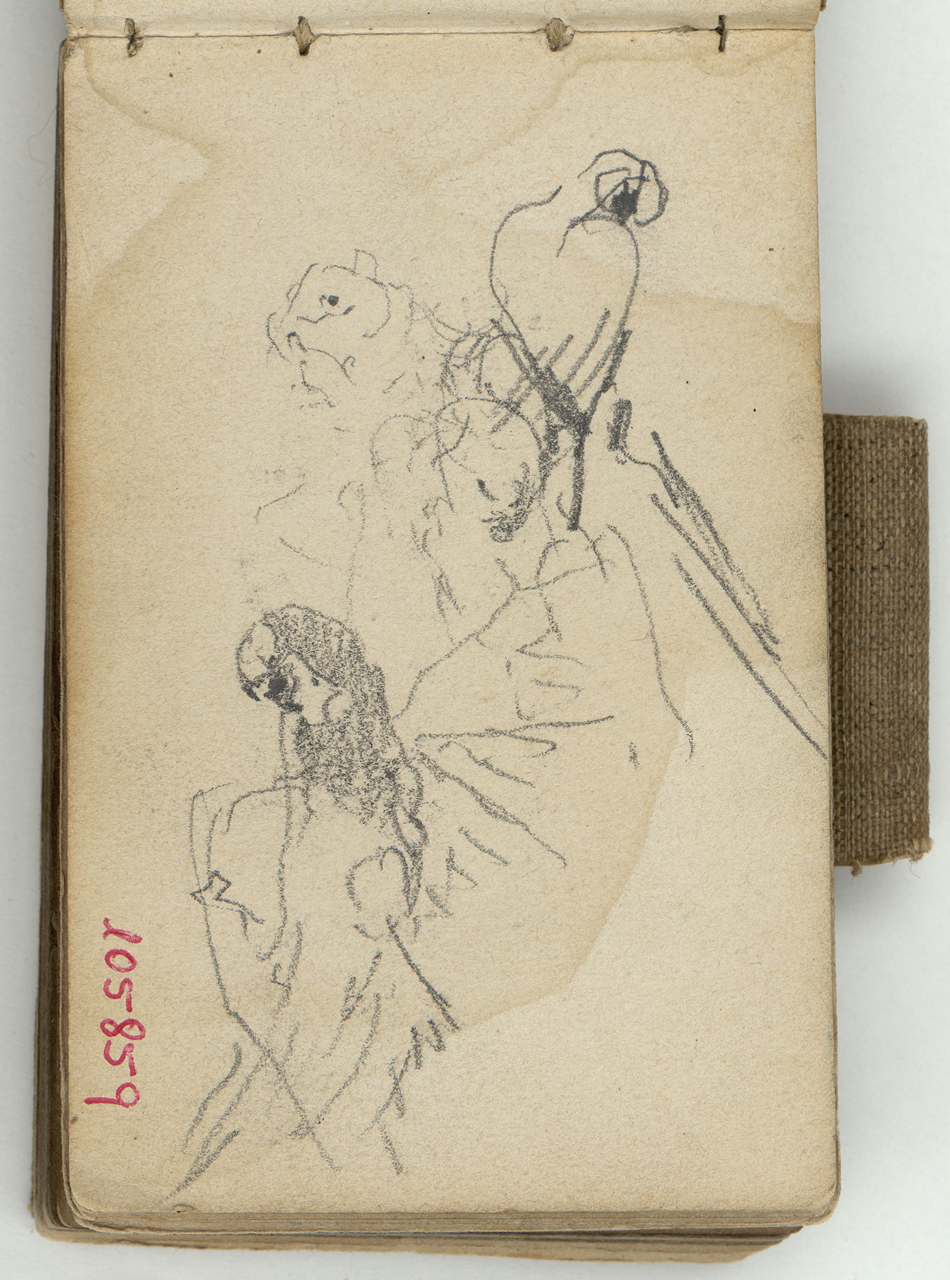 image for: Marià Fortuny - Estudi per al quadre «El col·leccionista d&#039;estampes» - Cap a 1863-1867