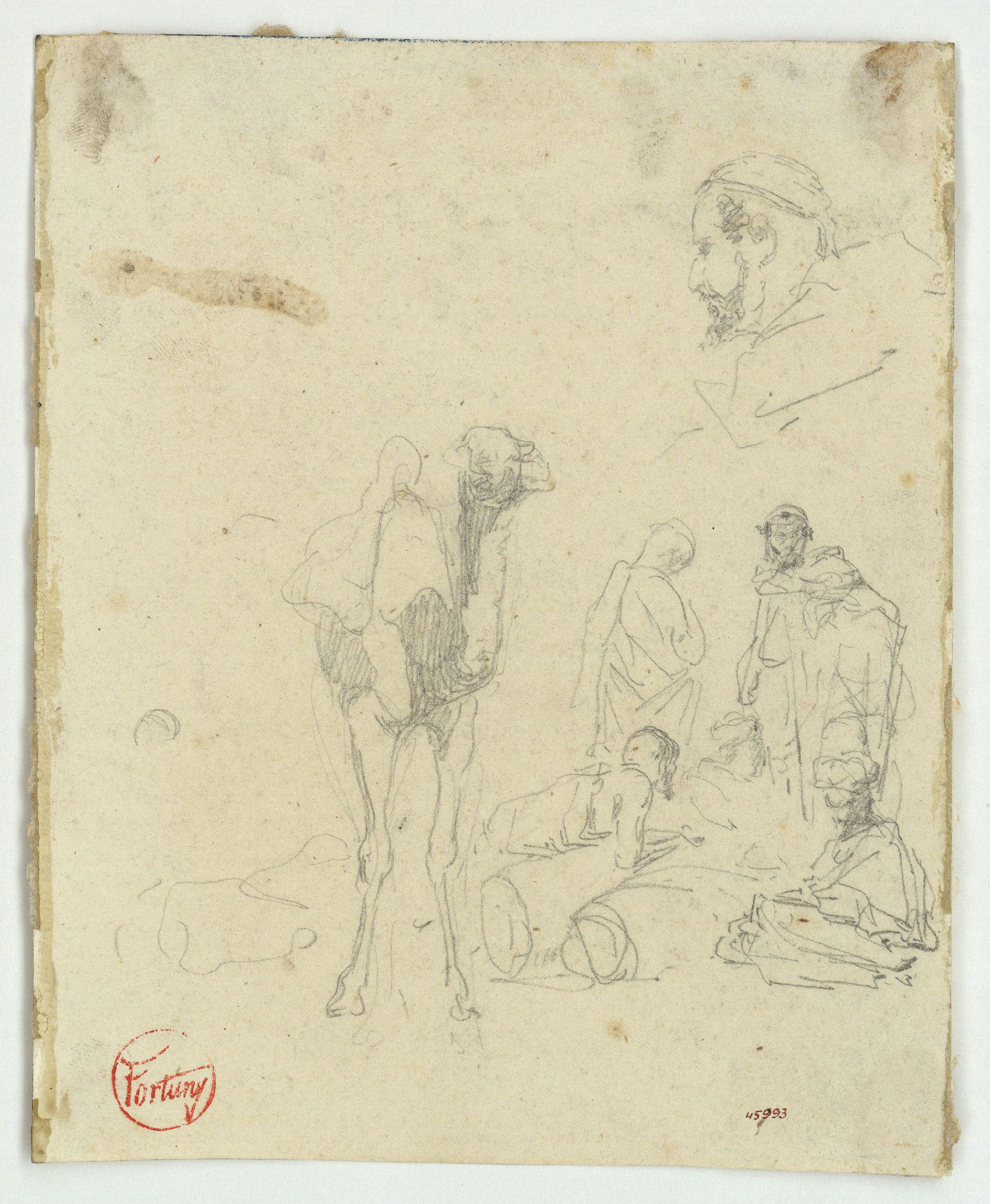 image for: Marià Fortuny - Camell i marroquins - Cap a 1860-1862