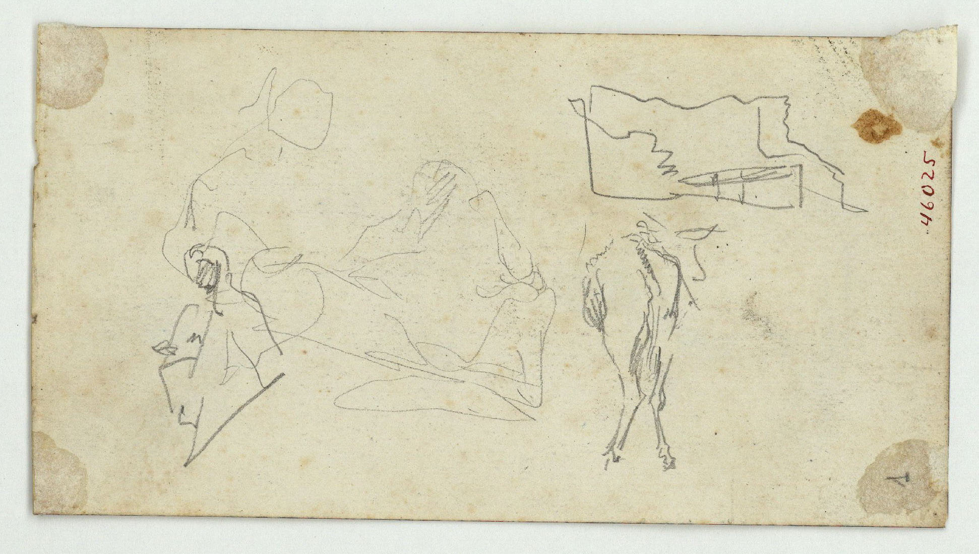 image for: Marià Fortuny - Marroquins (anvers) / Esbós de marroquins i ruc (revers) - Cap a 1860-1862 [1]