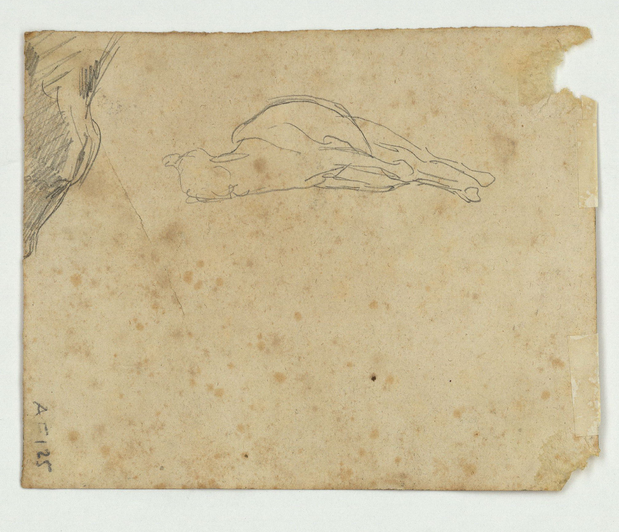 image for: Marià Fortuny - Estudi per al quadre «Kif» (anvers) / Croquis de cavall ajagut (revers) - Cap a 1868 [1]