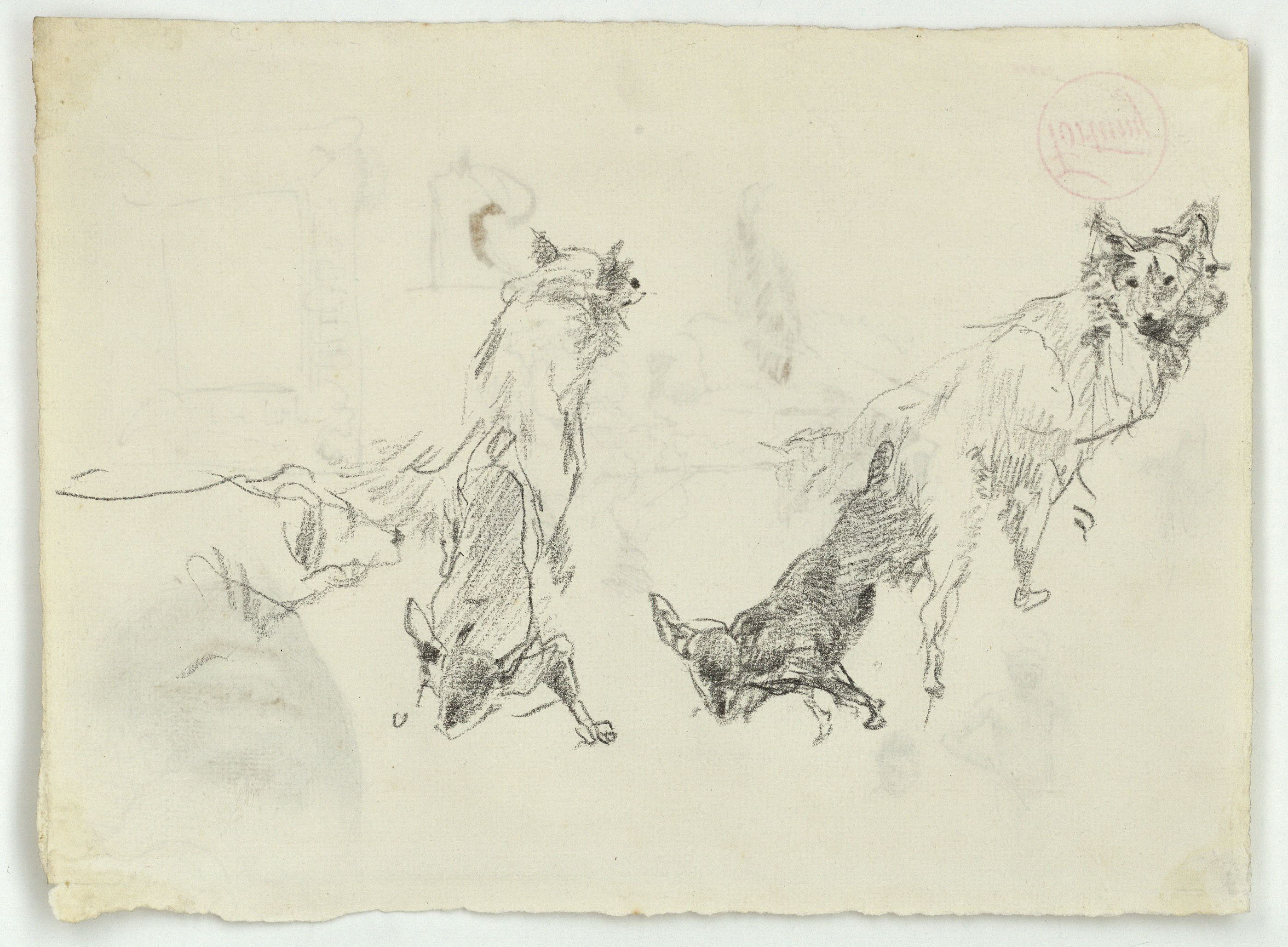 image for: Marià Fortuny - Estudi per al quadre «Els fills del pintor en un saló japonès» (anvers) / Gossos (revers) - Cap a 1874 [1]