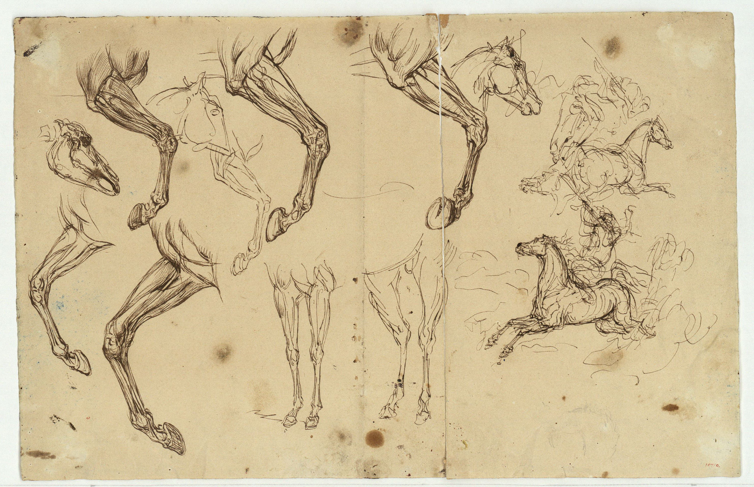 image for: Marià Fortuny - Estudi de cavalls - Cap a 1860-1862