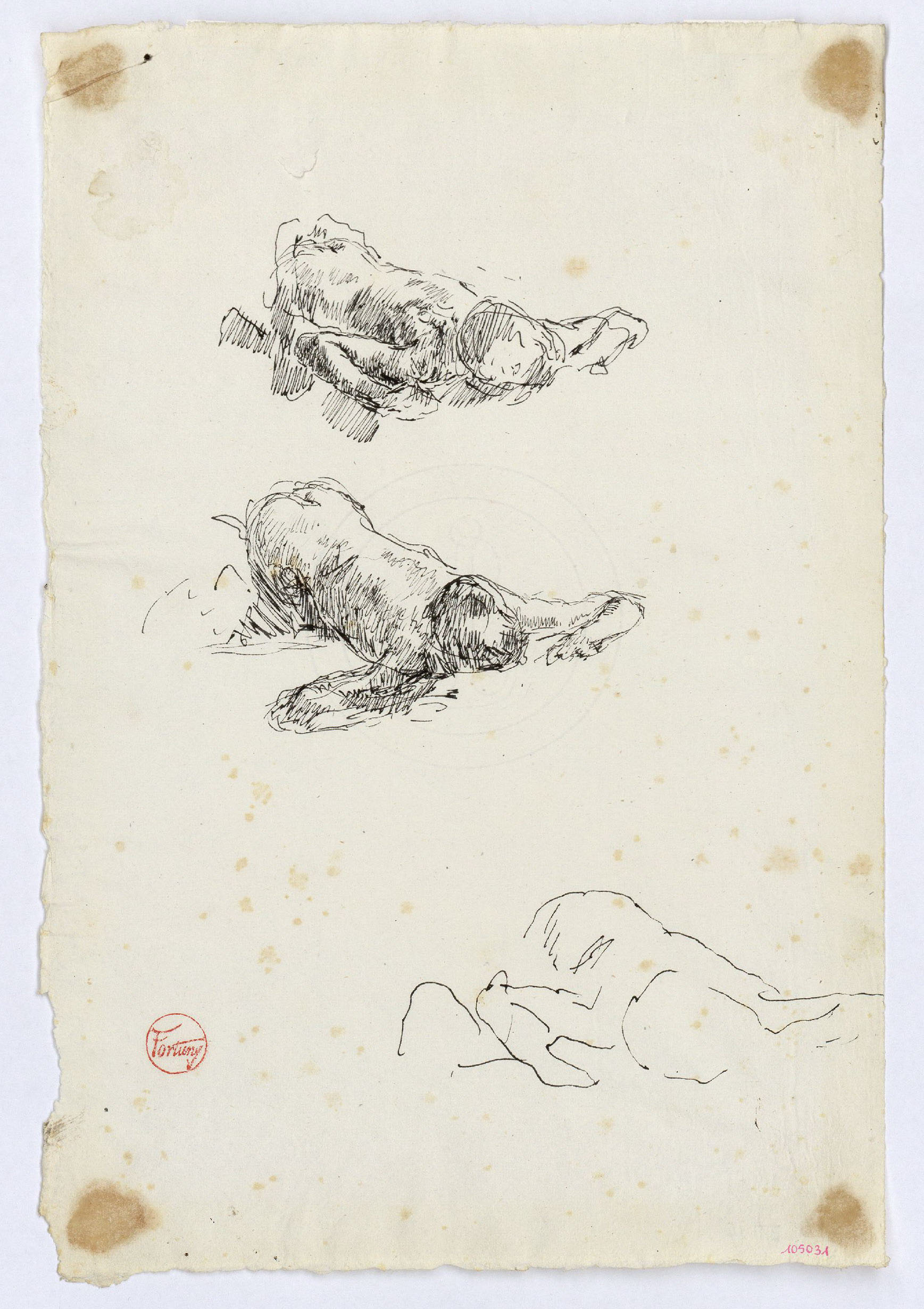 image for: Marià Fortuny - Estudi per al quadre «L&#039;escorxador de Portici» - Cap a 1874