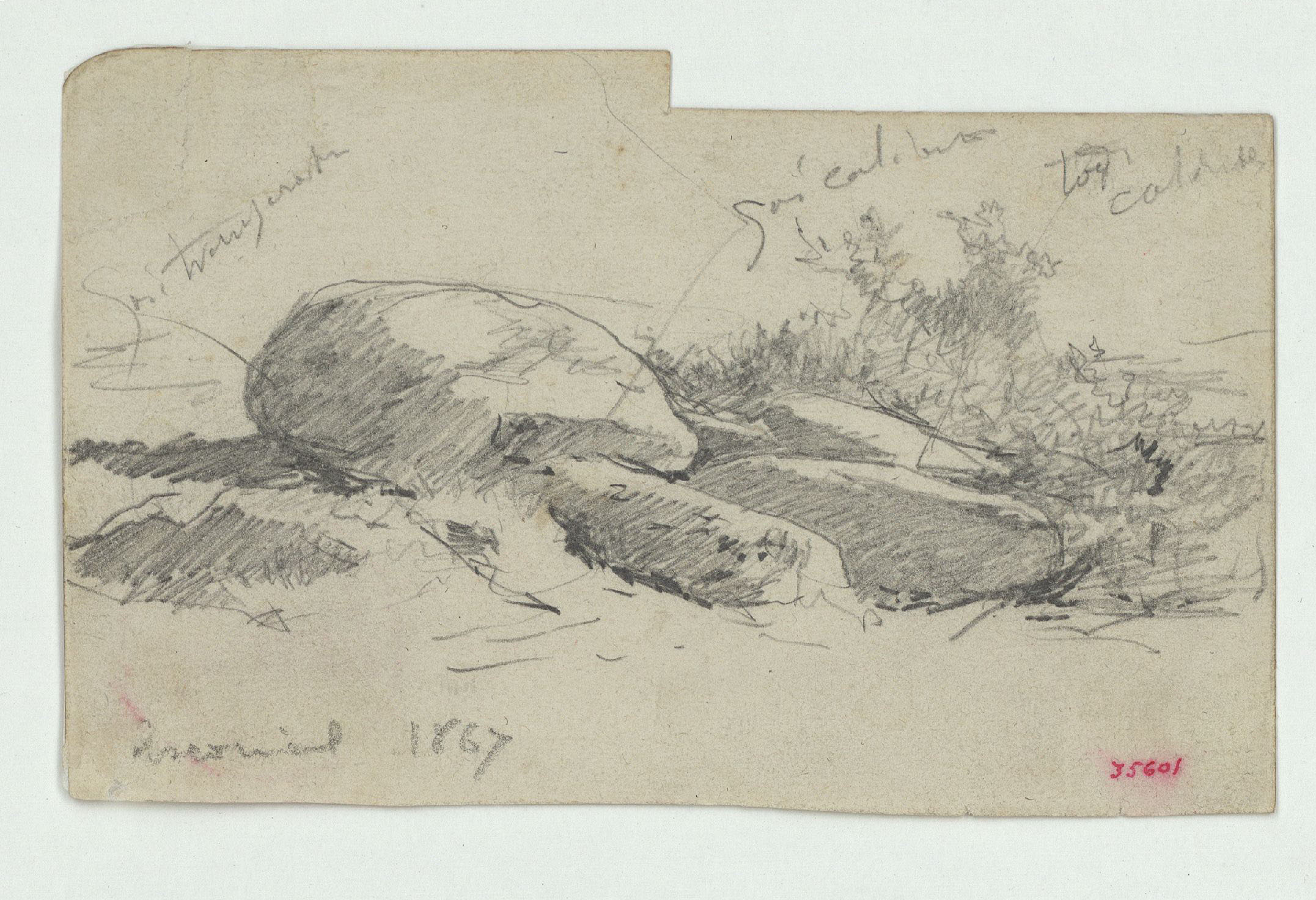 image for: Marià Fortuny - Pedres i vegetació (anvers) / Croquis inconcret (revers) - 1867