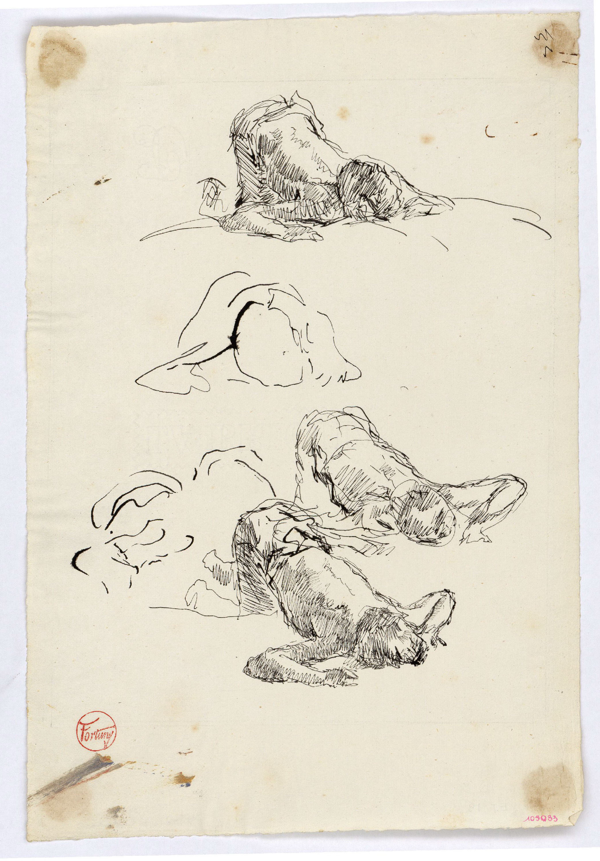 image for: Marià Fortuny - Estudi per al quadre «L&#039;escorxador de Portici» - Cap a 1874