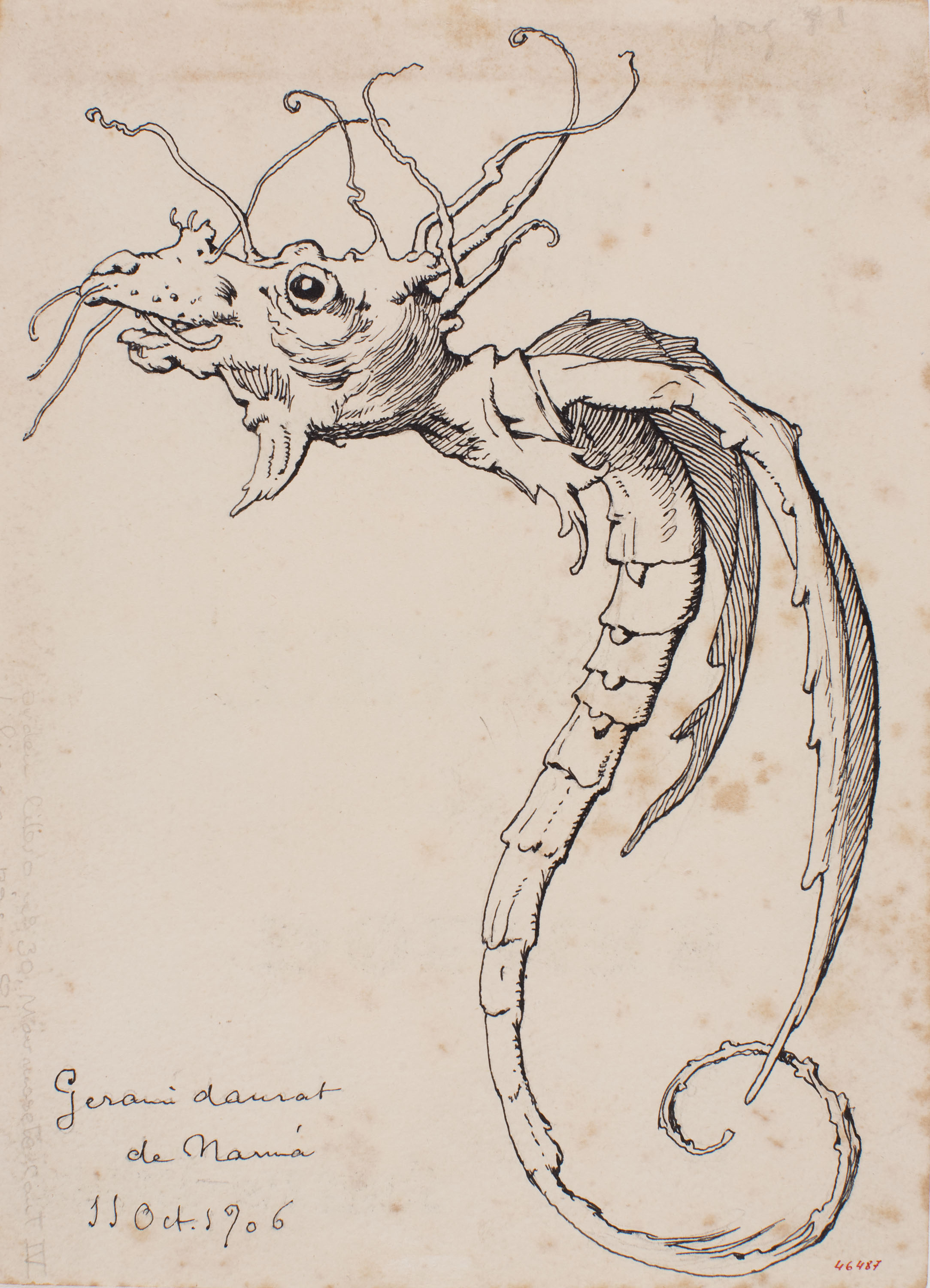 image for: Apel·les Mestres - Planta de gerani transmutada en animal quimèric. Culdellàntia per al poema «Liliana» d&#039;Apel·les Mestres - 1906