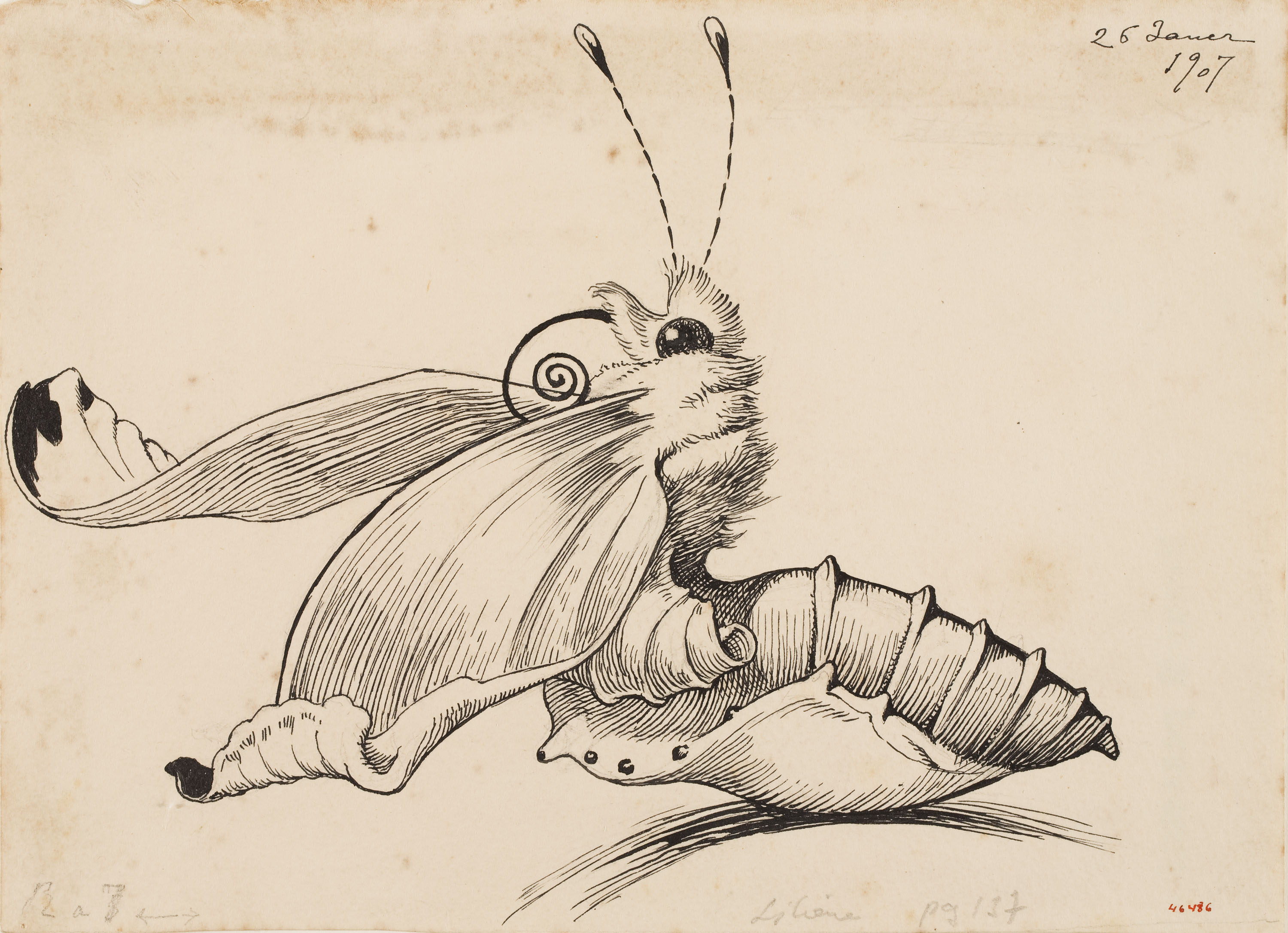 image for: Apel·les Mestres - Cuc de seda convertint-se en papallona. Culdellàntia per al poema «Liliana» d&#039;Apel·les Mestres - 1907