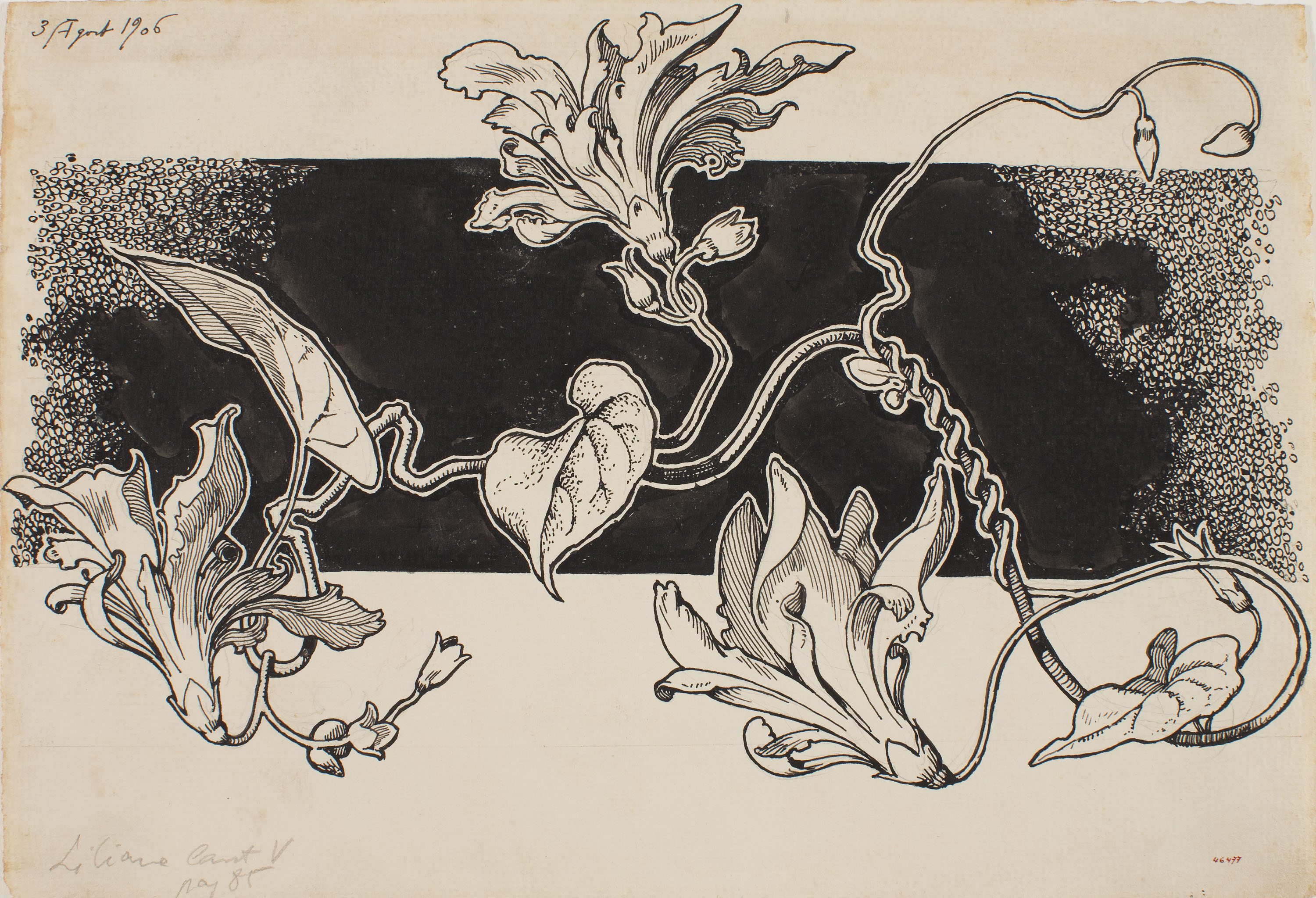 image for: Apel·les Mestres - Tres lliris. Capçalera de pàgina per al poema «Liliana» d&#039;Apel·les Mestres - 1906