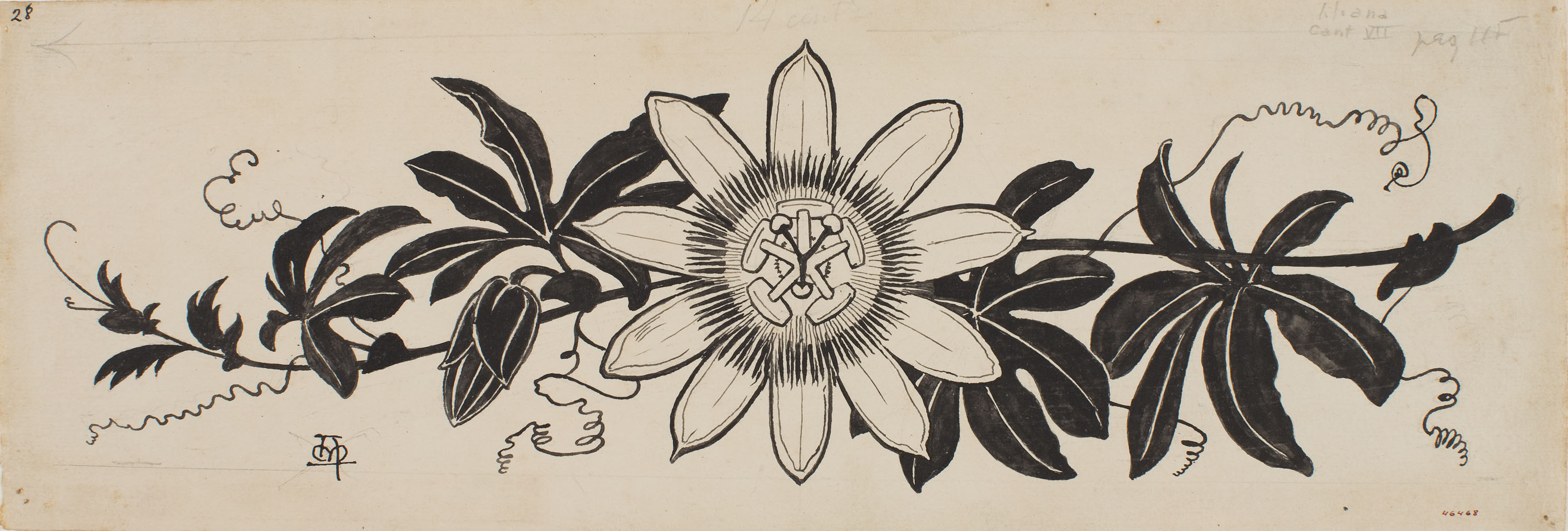 image for: Apel·les Mestres - Passionera. Capçalera de pàgina per al poema «Liliana» d&#039;Apel·les Mestres - Cap a 1907