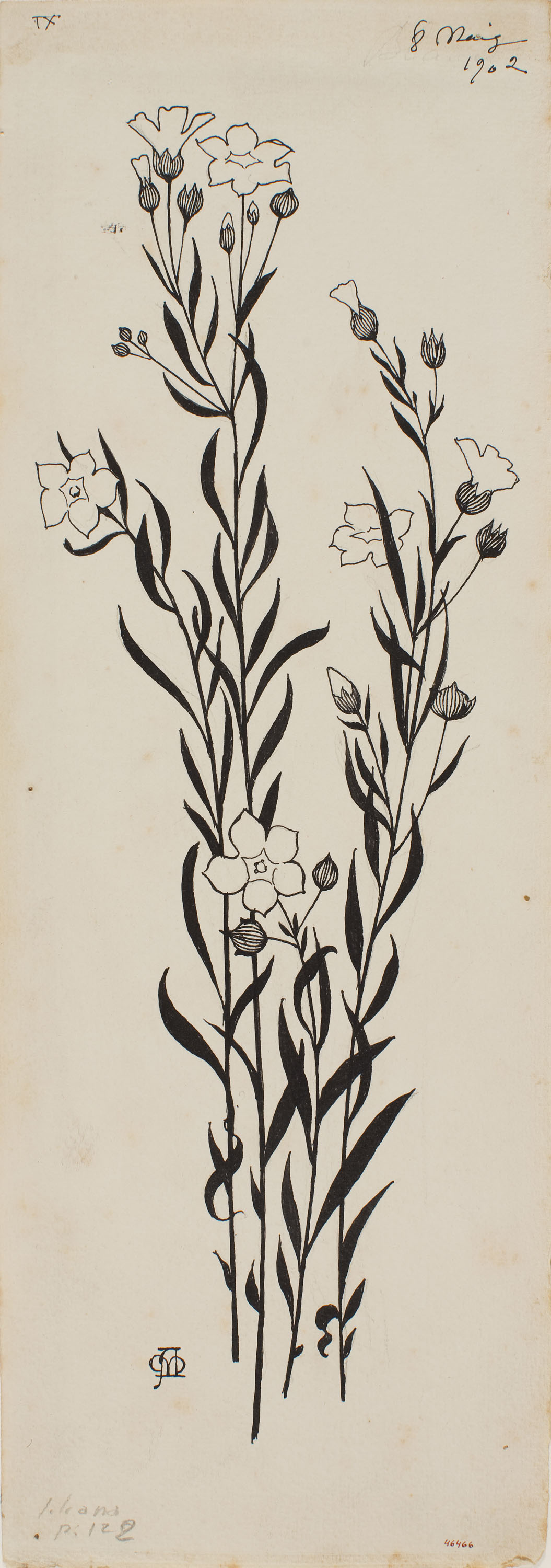 image for: Apel·les Mestres - Quatre tiges de flors boscanes. Il·lustració per al poema «Liliana» d&#039;Apel·les Mestres - 1902