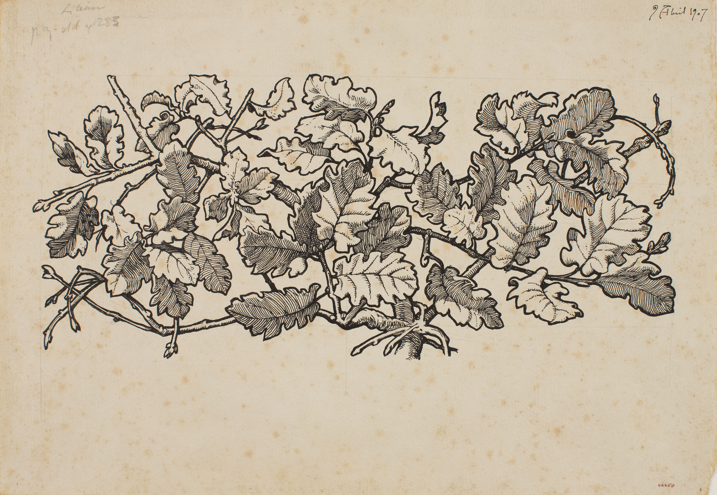 image for: Apel·les Mestres - Branques de roure. Il·lustració per al poema «Liliana» d&#039;Apel·les Mestres - 1907