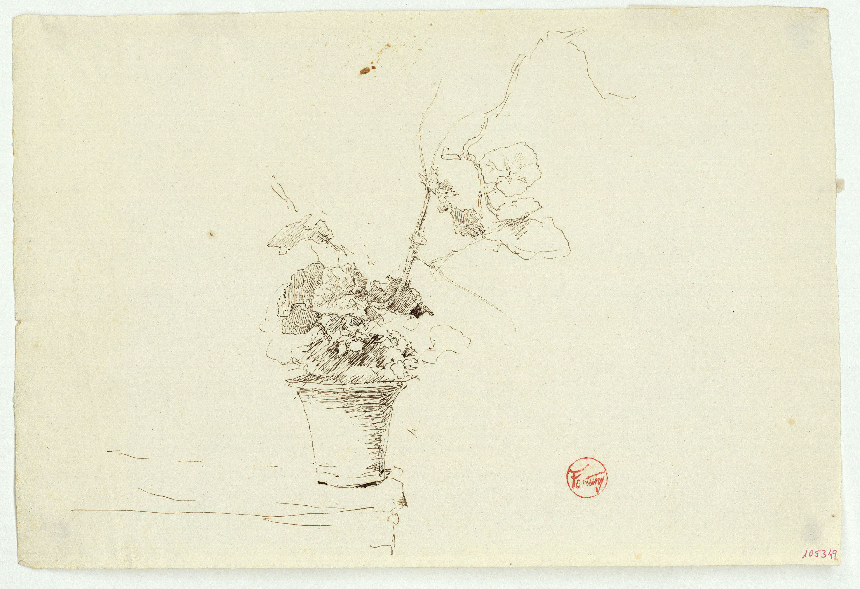 image for: Marià Fortuny - Test de geranis - Cap a 1867-1872