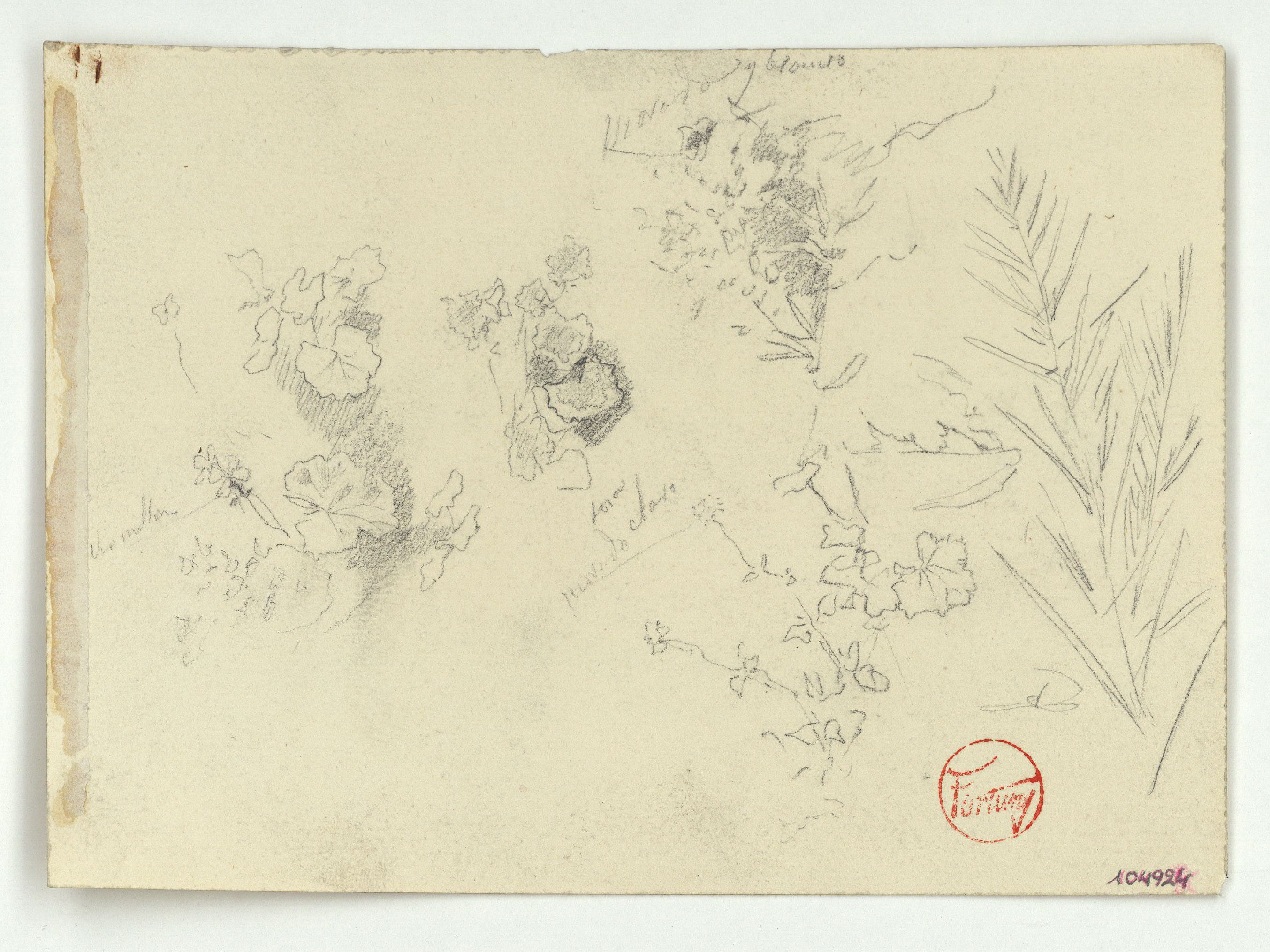 image for: Marià Fortuny - Estudi per al quadre «El jardí dels poetes» (anvers) / Estudi per al quadre «El jardí dels poetes» (revers) - Cap a 1870-1874