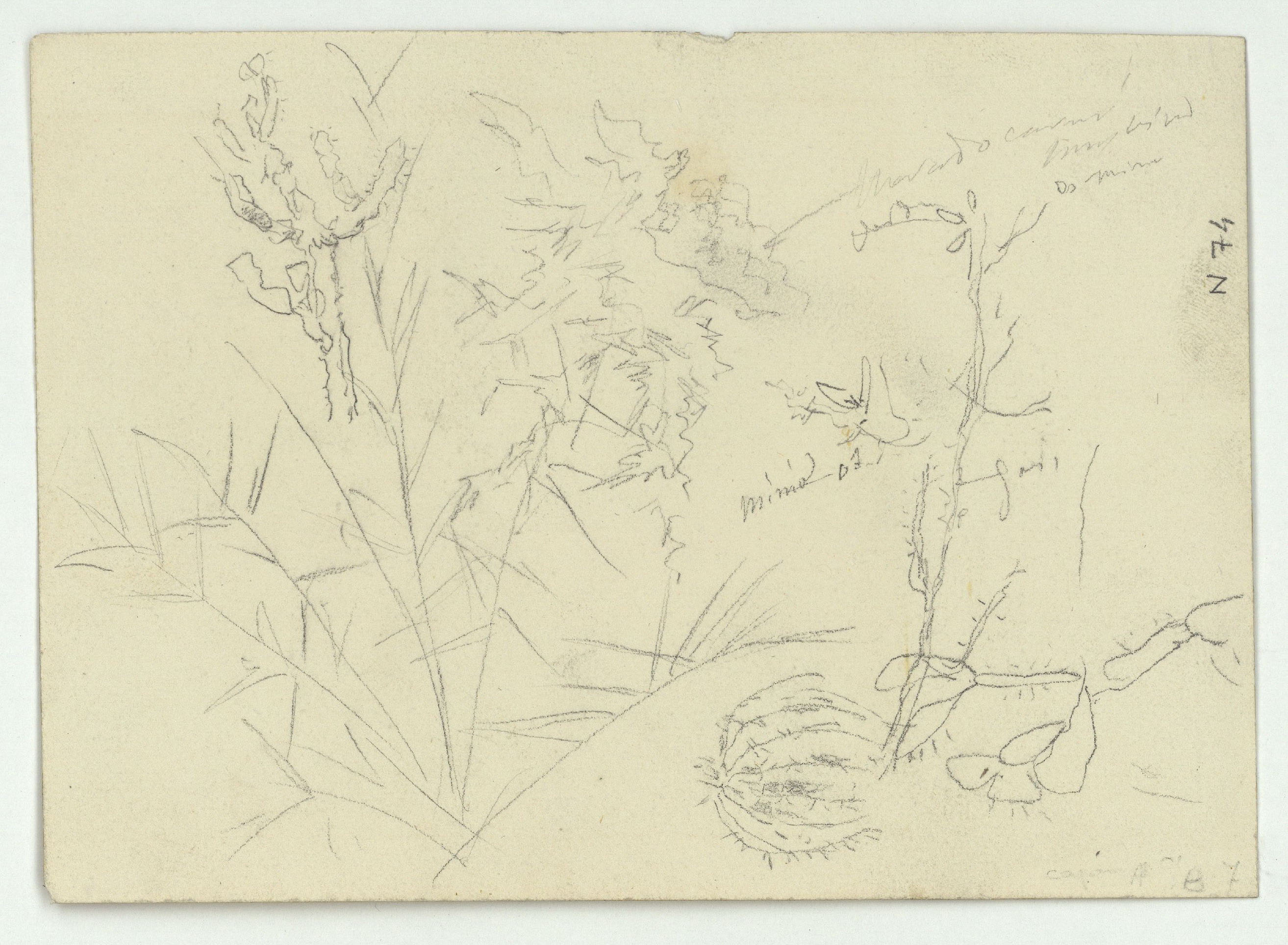 image for: Marià Fortuny - Estudi per al quadre «El jardí dels poetes» (anvers) / Estudi per al quadre «El jardí dels poetes» (revers) - Cap a 1870-1874 [1]