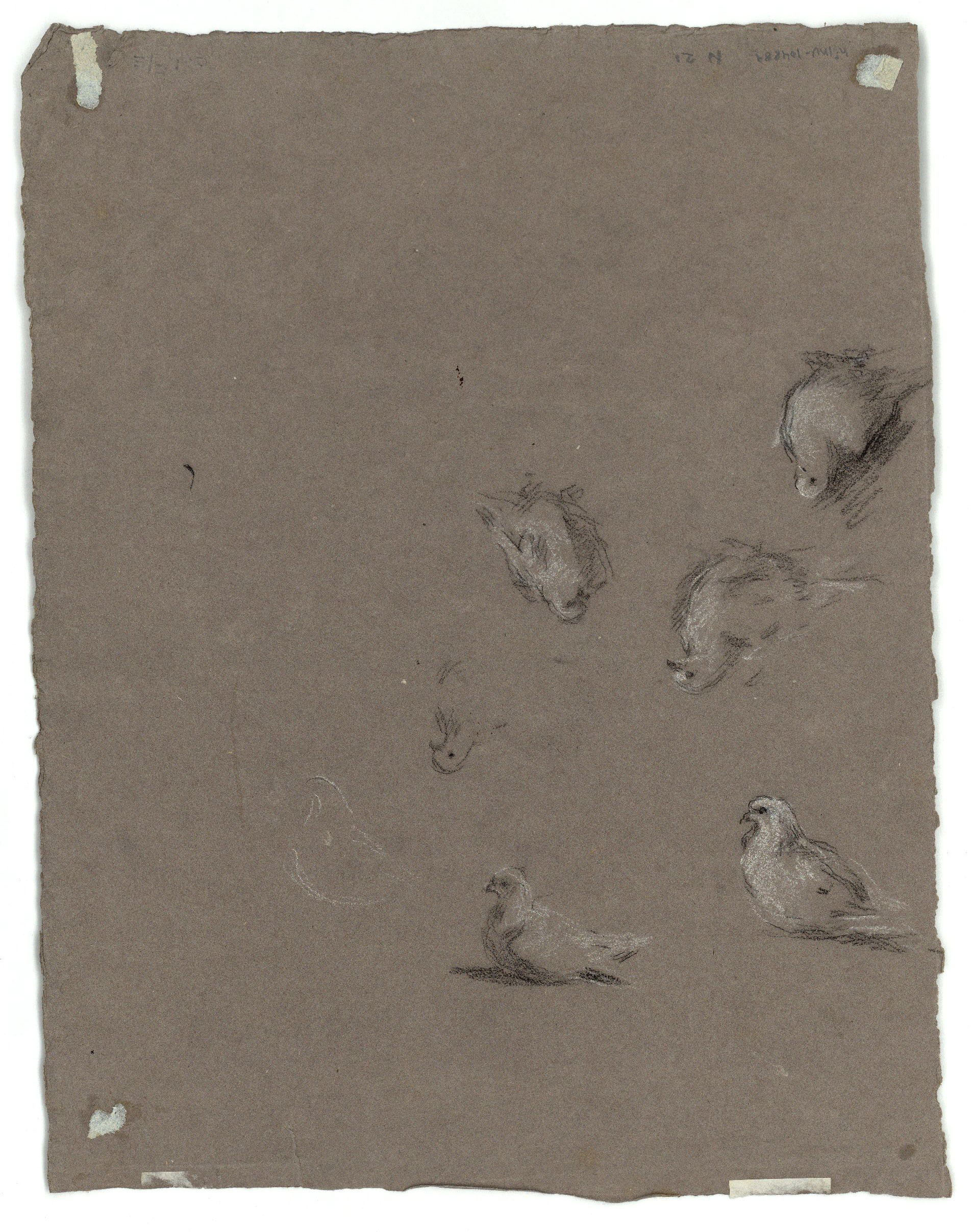 image for: Marià Fortuny - Cornucòpia (anvers) / Coloms (revers) - Cap a 1867-1870 [1]