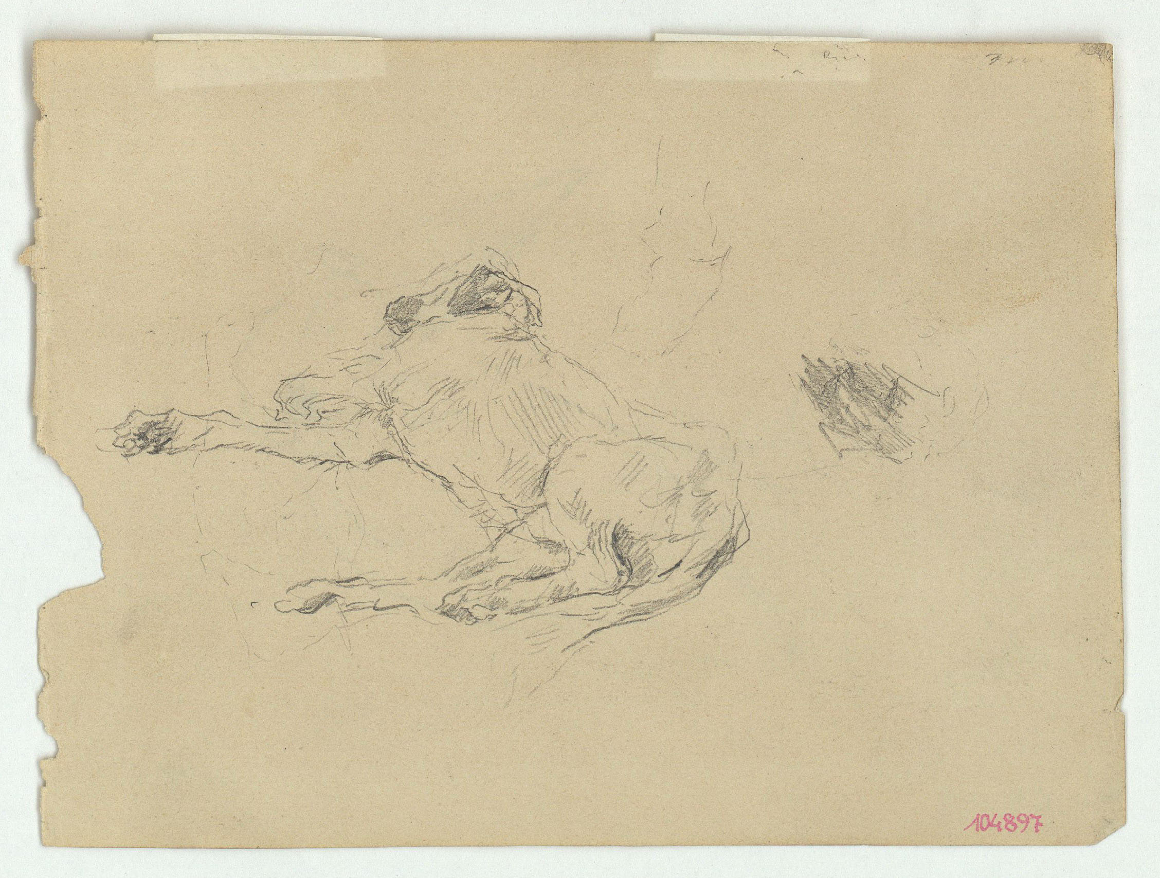 image for: Marià Fortuny - Gos ajagut (anvers) / Esbós d&#039;ocell (revers) - Cap a 1868-1870