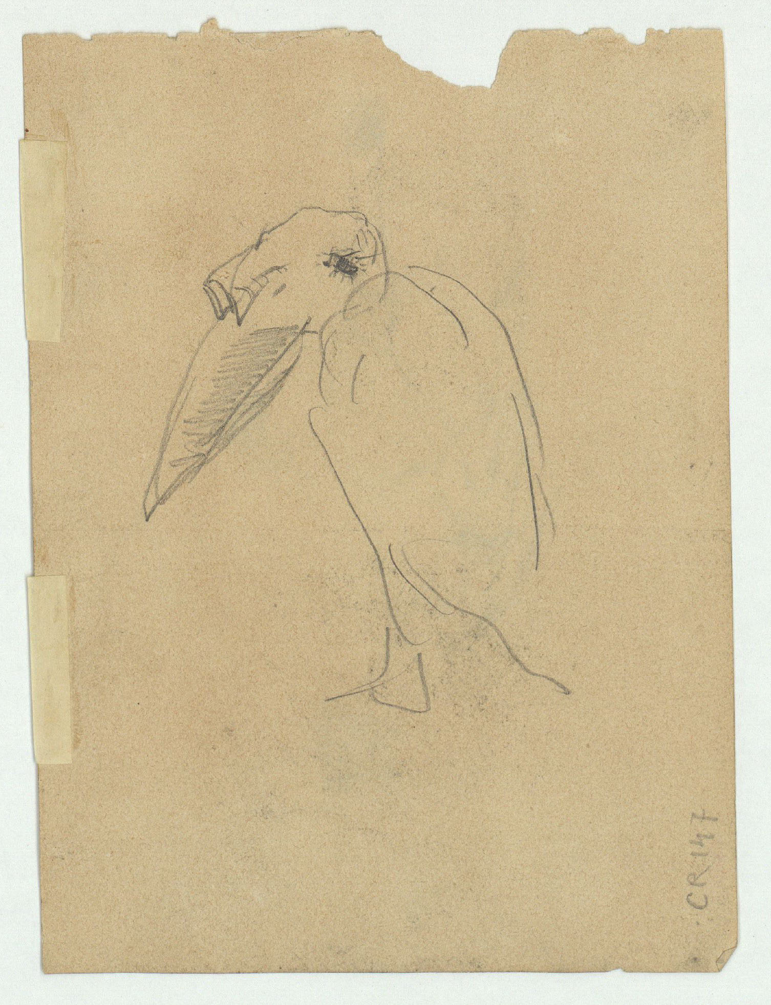 image for: Marià Fortuny - Gos ajagut (anvers) / Esbós d&#039;ocell (revers) - Cap a 1868-1870 [1]