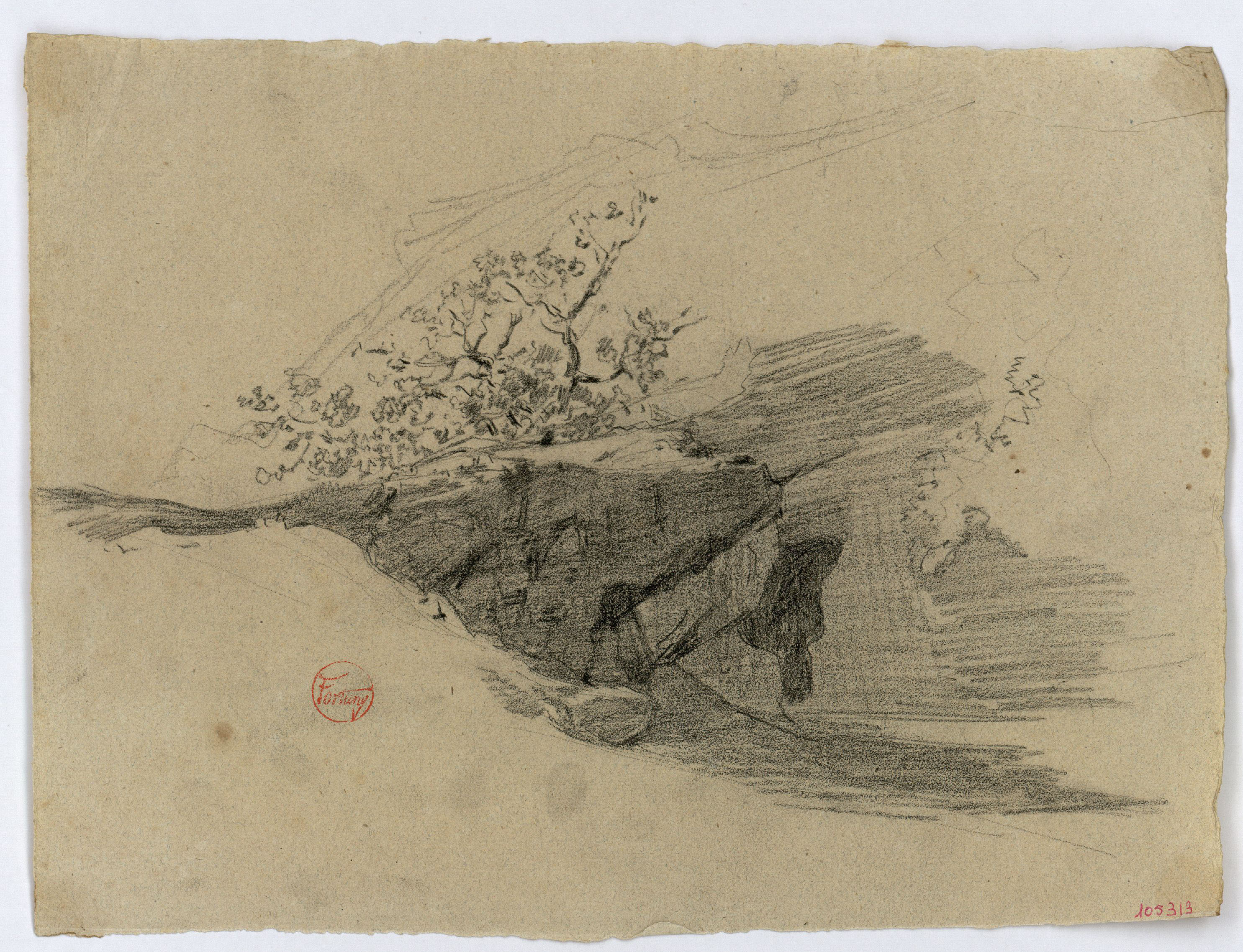 image for: Marià Fortuny - Roca amb matolls - Cap a 1860-1862
